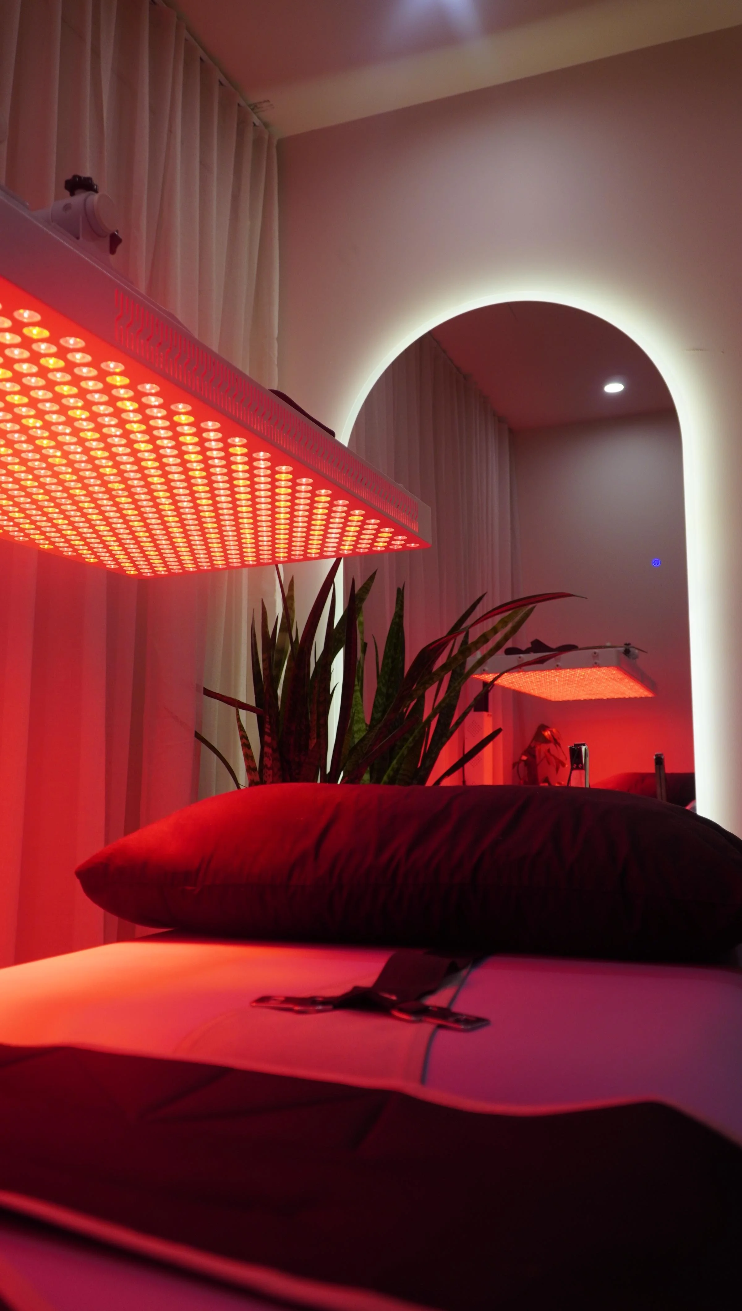 Room with red LED grow lights, a green plant with long leaves, a rolled-up yoga mat, and a dark pillow on a bed with white sheets. There is an archway with backlit lighting and pink curtains in the background.