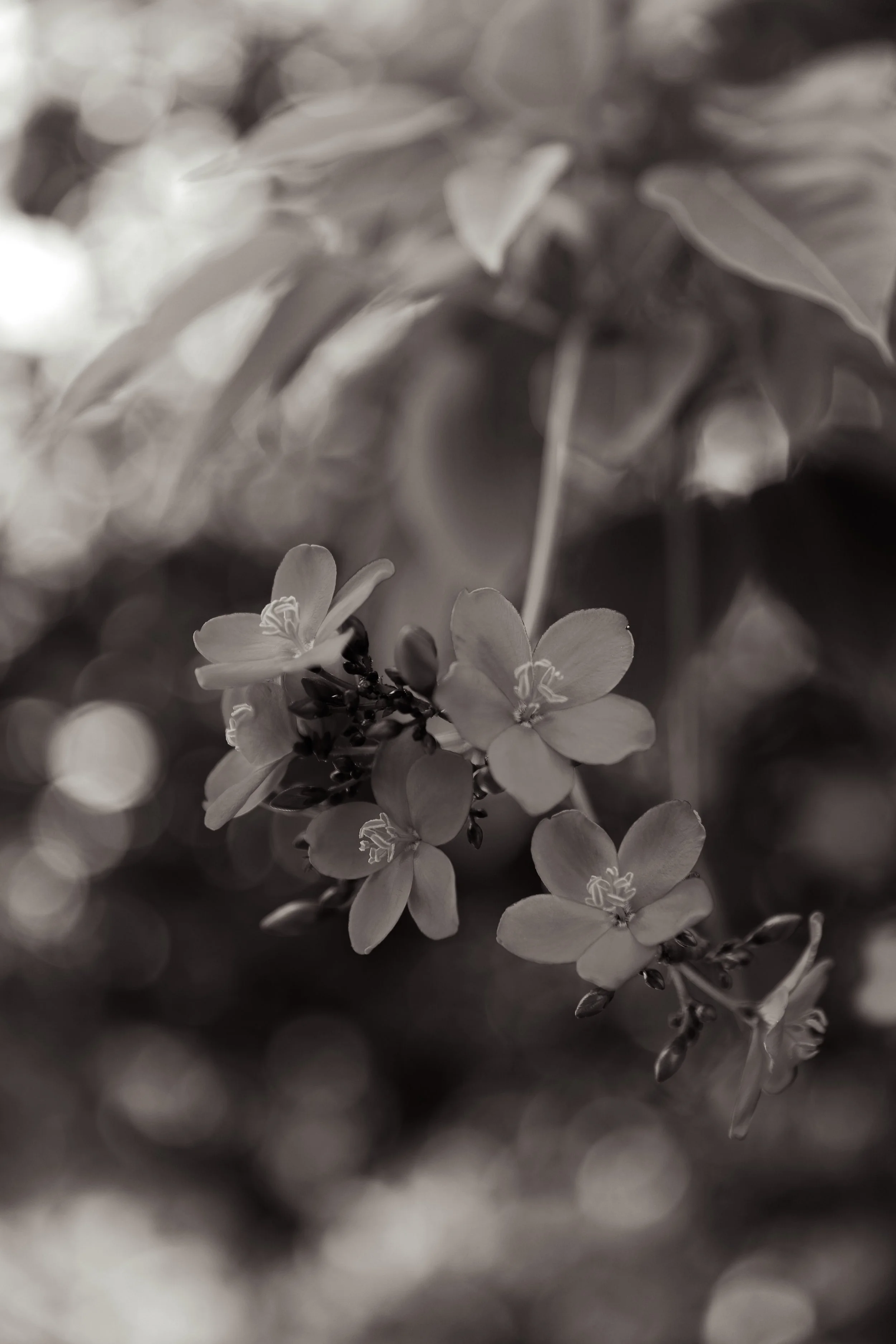 Photo Mar 19 2023, 9 22 26 PM.jpg