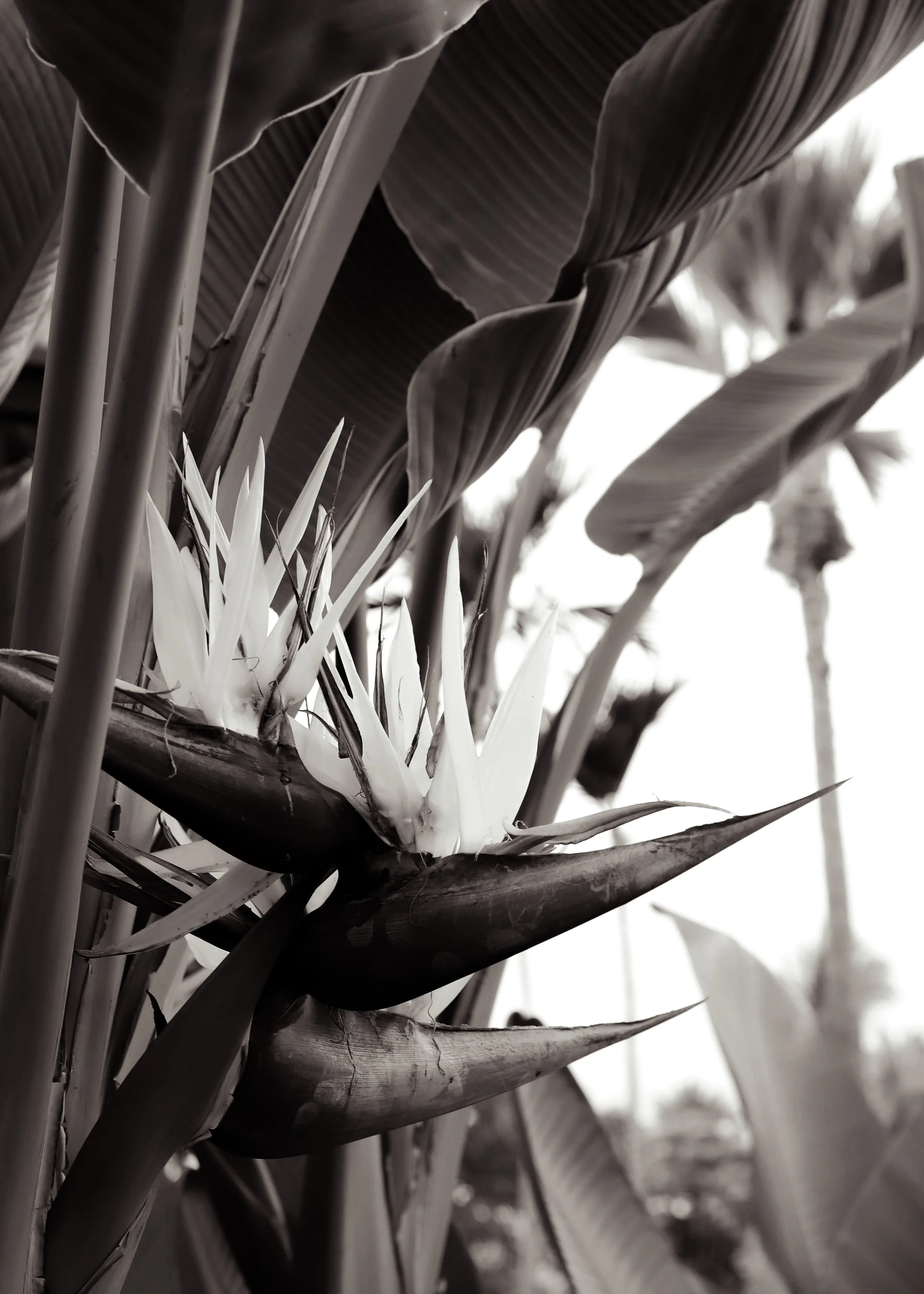 Photo Mar 24 2022, 6 46 46 PM.jpg