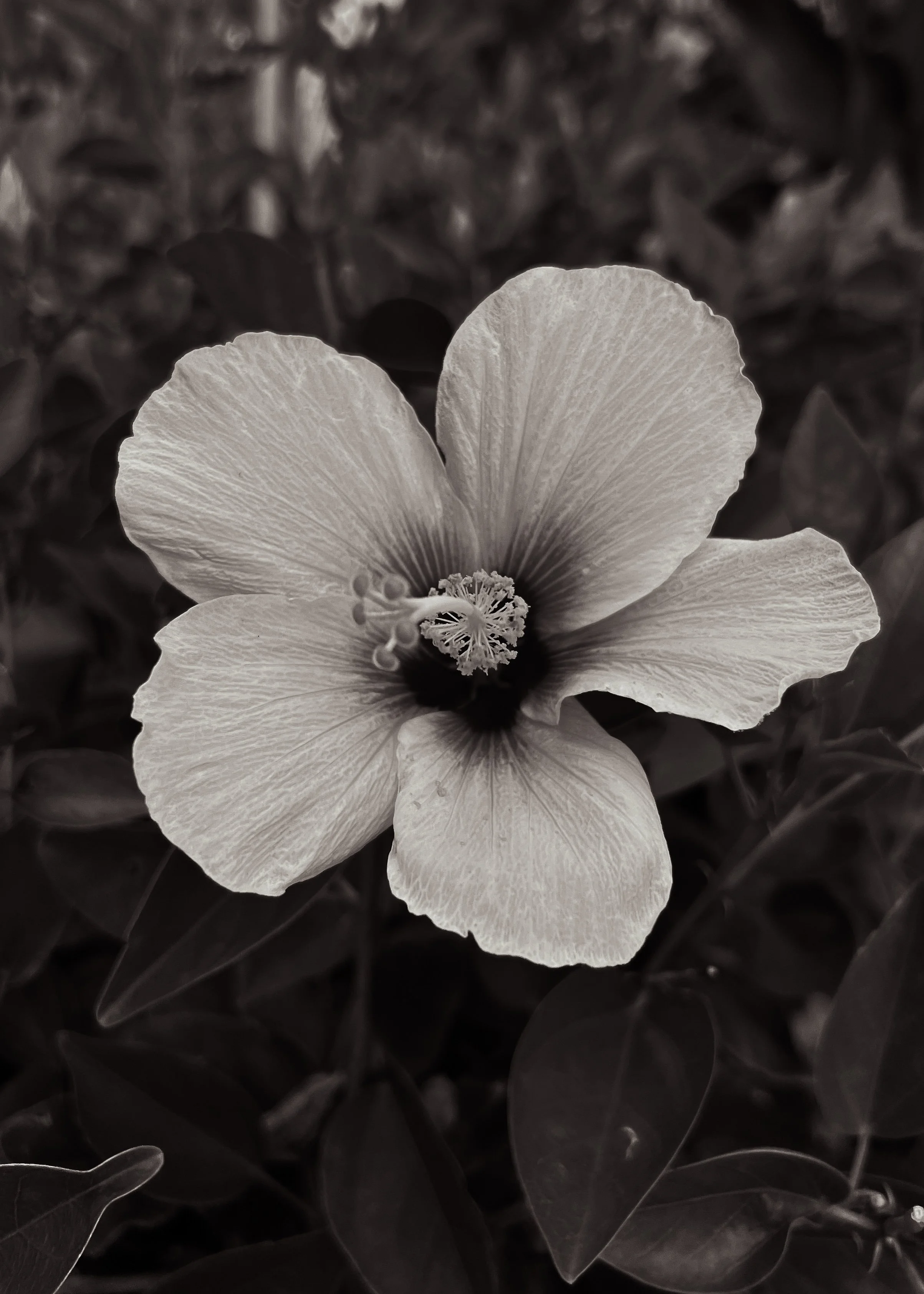 Photo May 14 2023, 5 54 10 PM.jpg