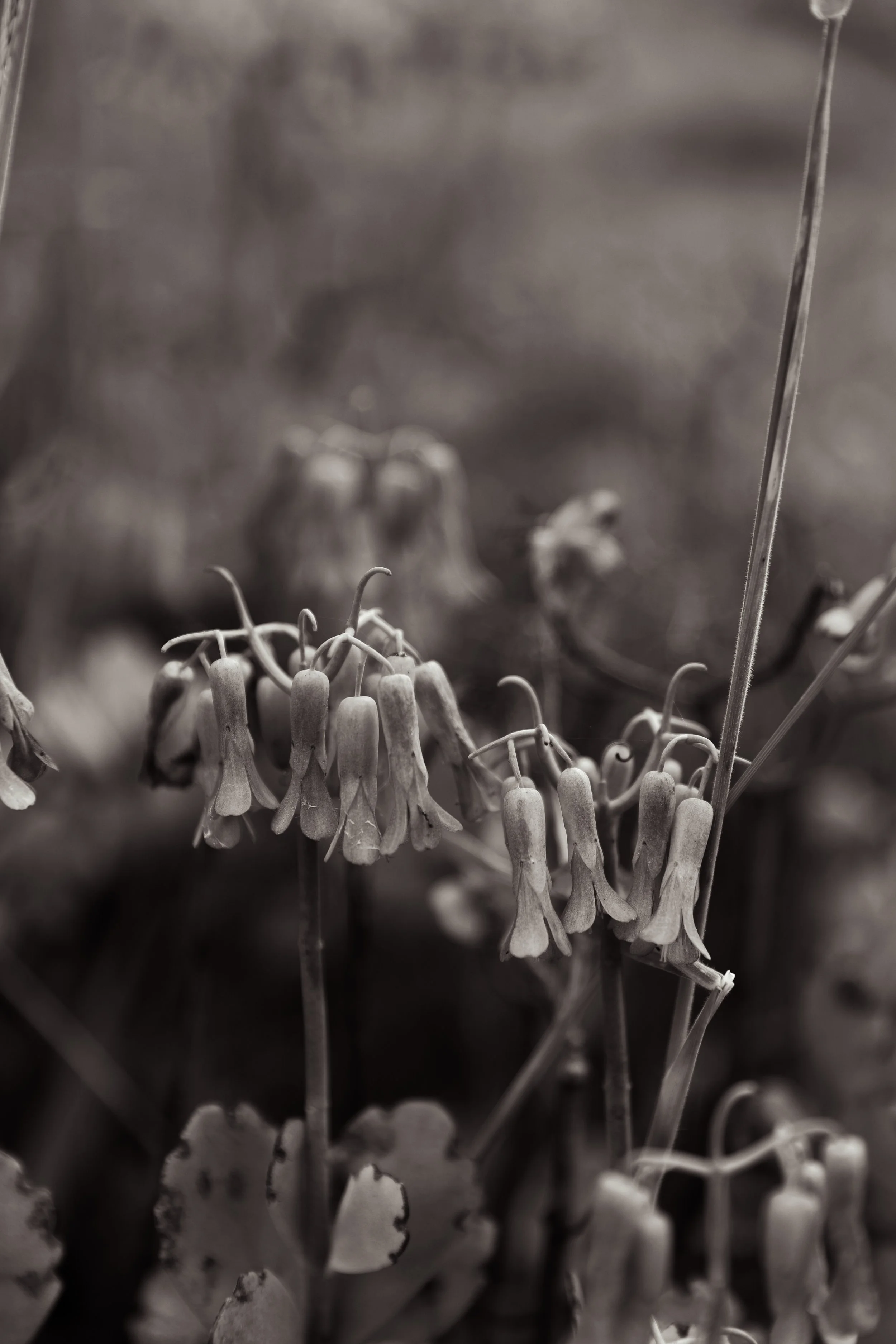 Photo Mar 20 2023, 12 08 28 AM.jpg