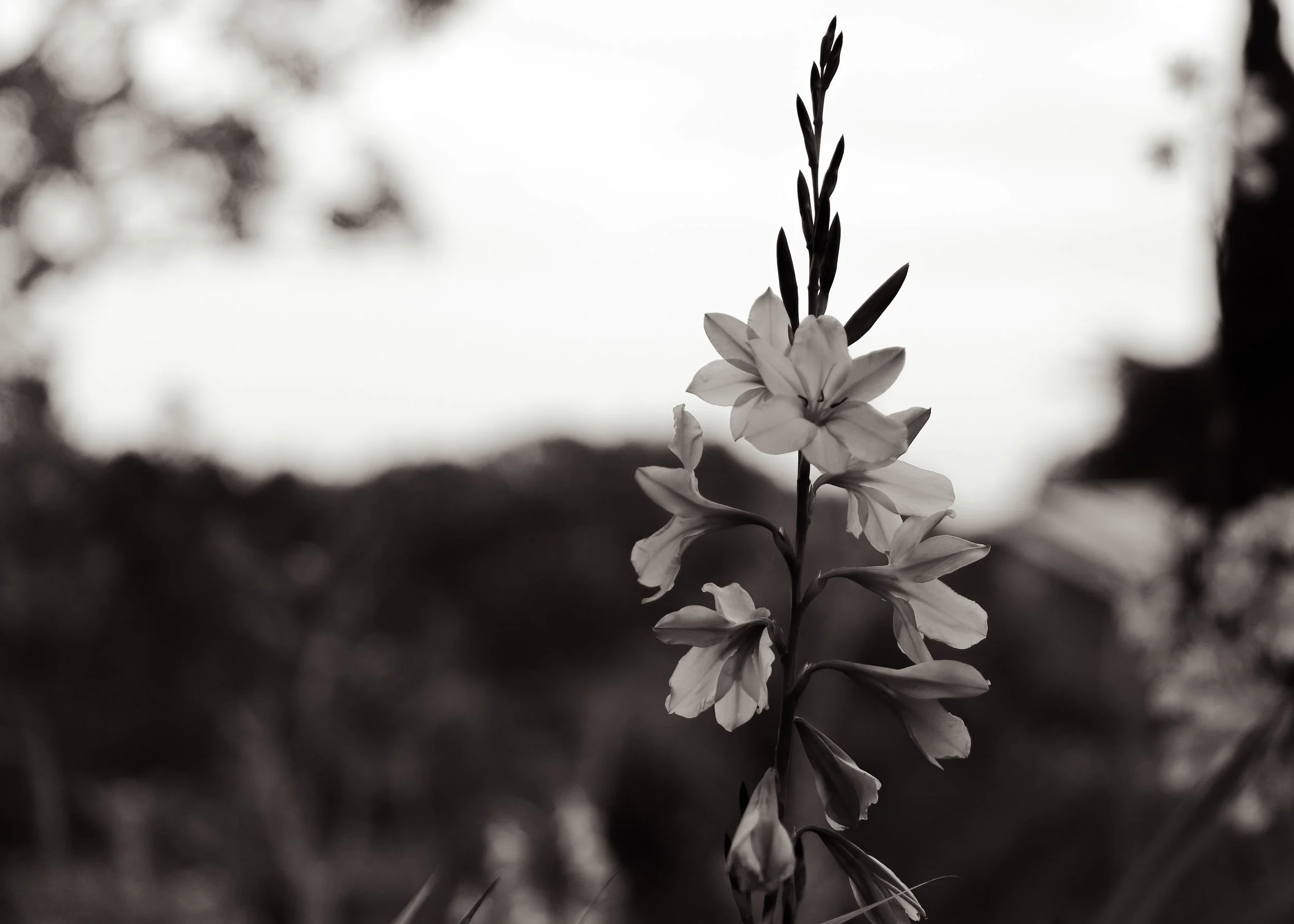 Photo Mar 20 2023, 12 39 09 AM.jpg