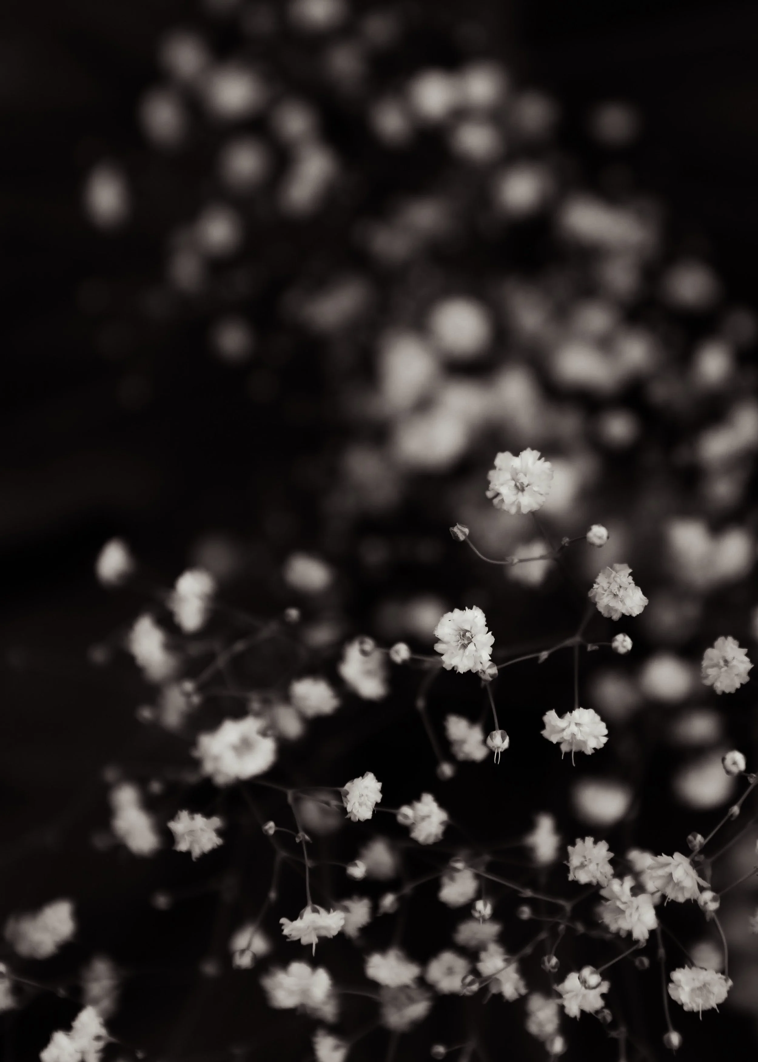 Photo Apr 05 2022, 6 32 28 PM.jpg