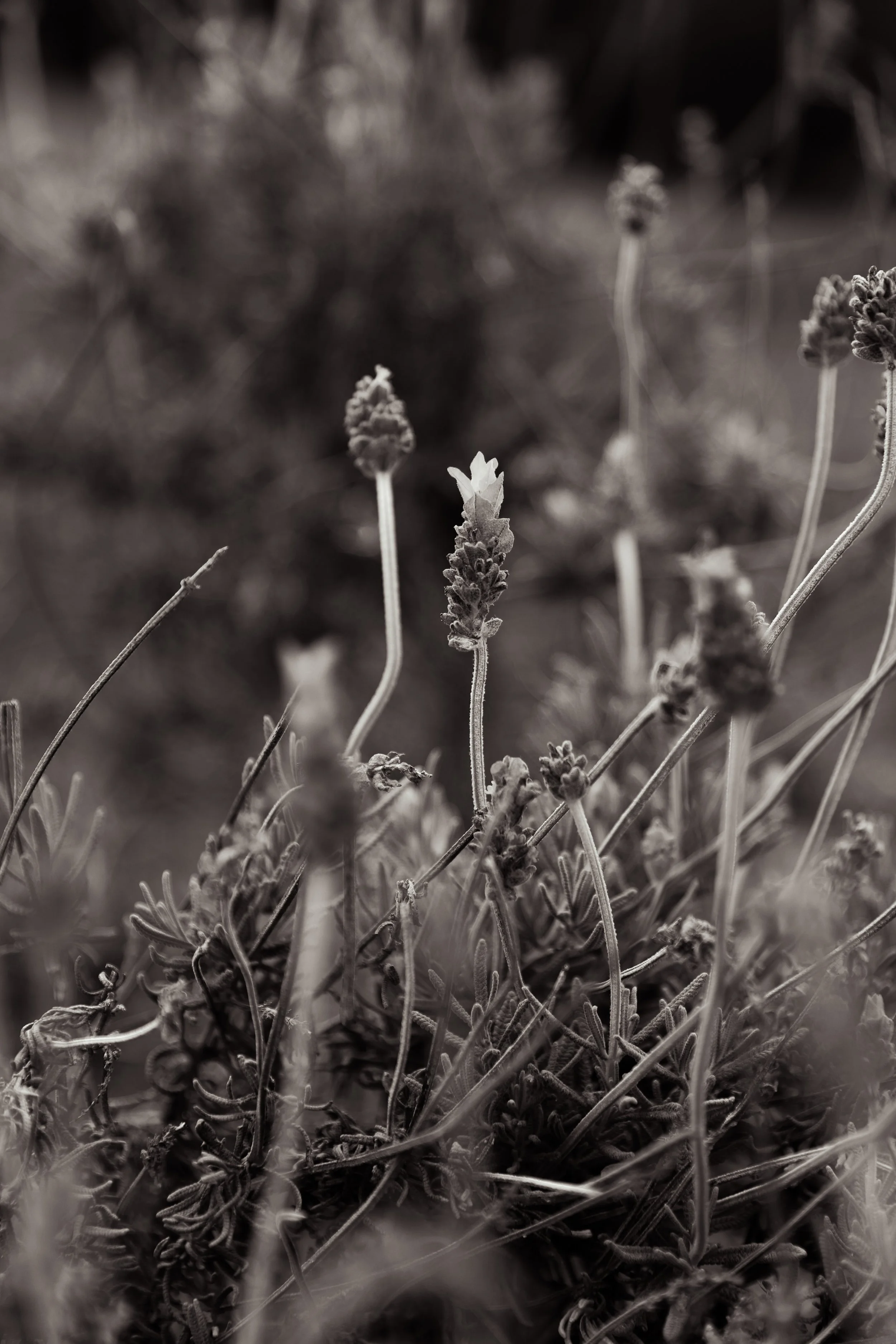 Photo Mar 20 2023, 1 02 12 AM.jpg