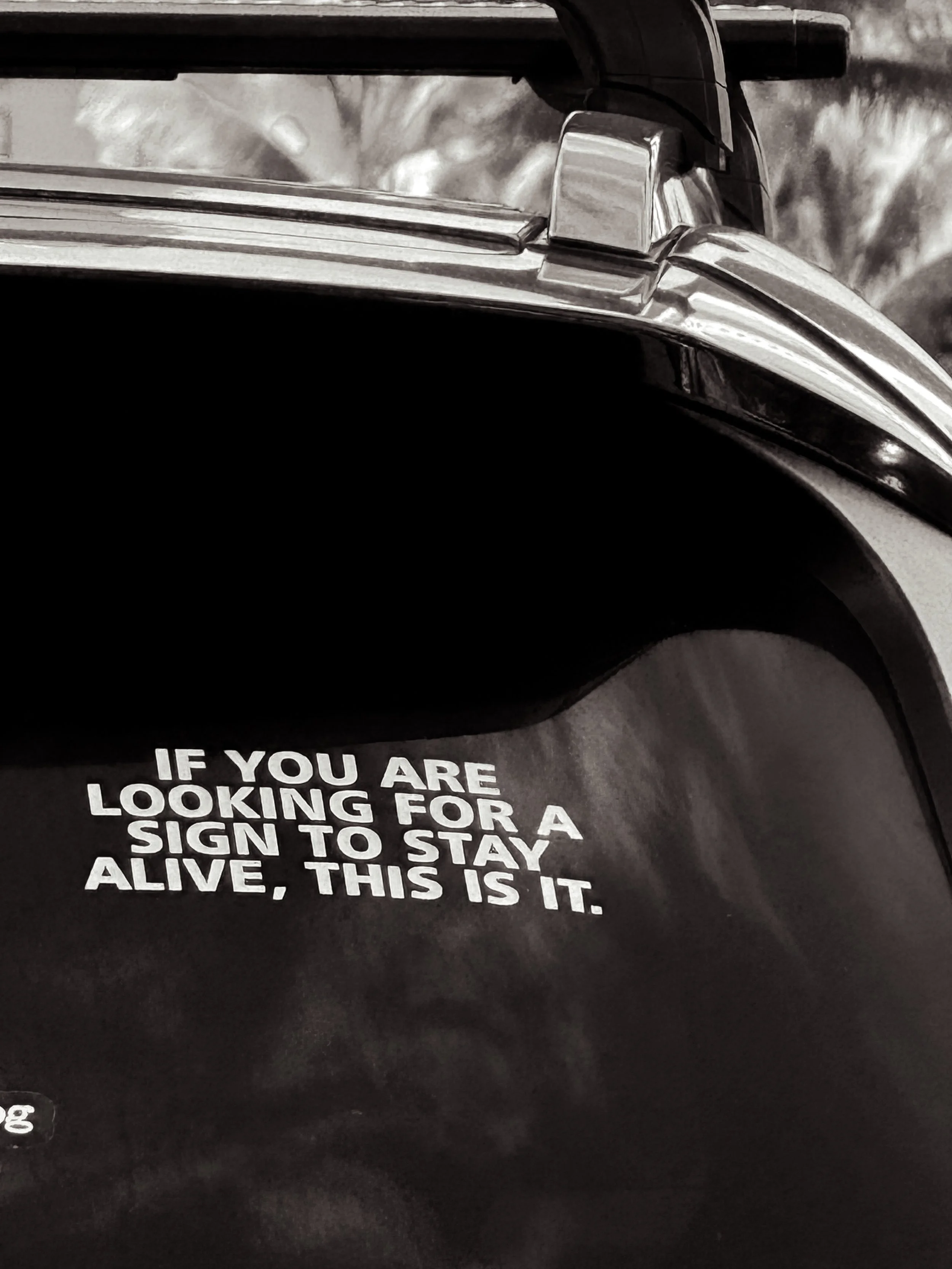Close-up of a vehicle's trunk with a sticker that reads, 'IF YOU ARE LOOKING FOR A SIGN TO STAY ALIVE, THIS IS IT.' in white text.
