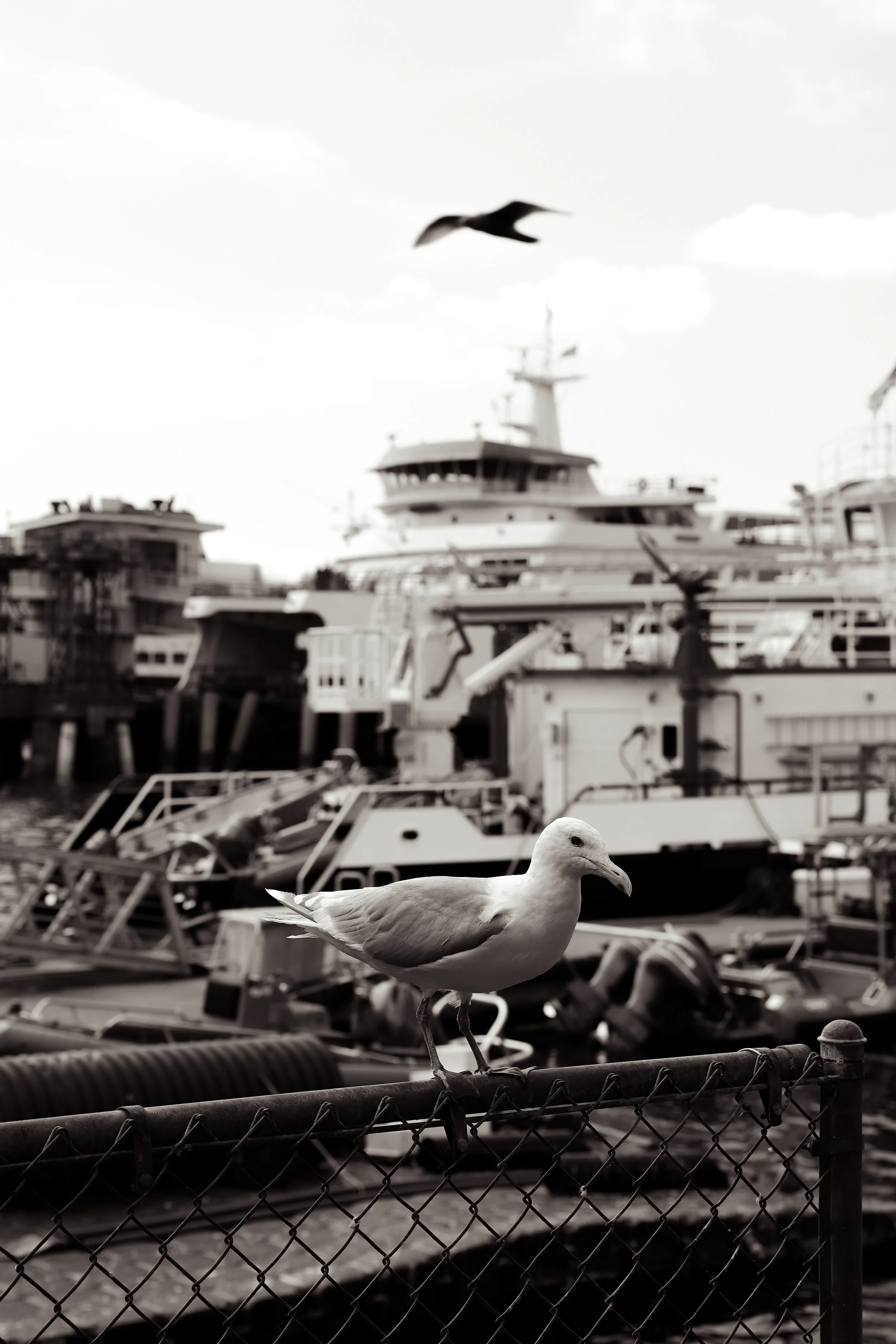 Photo Sep 12 2021, 9 35 45 PM.jpg