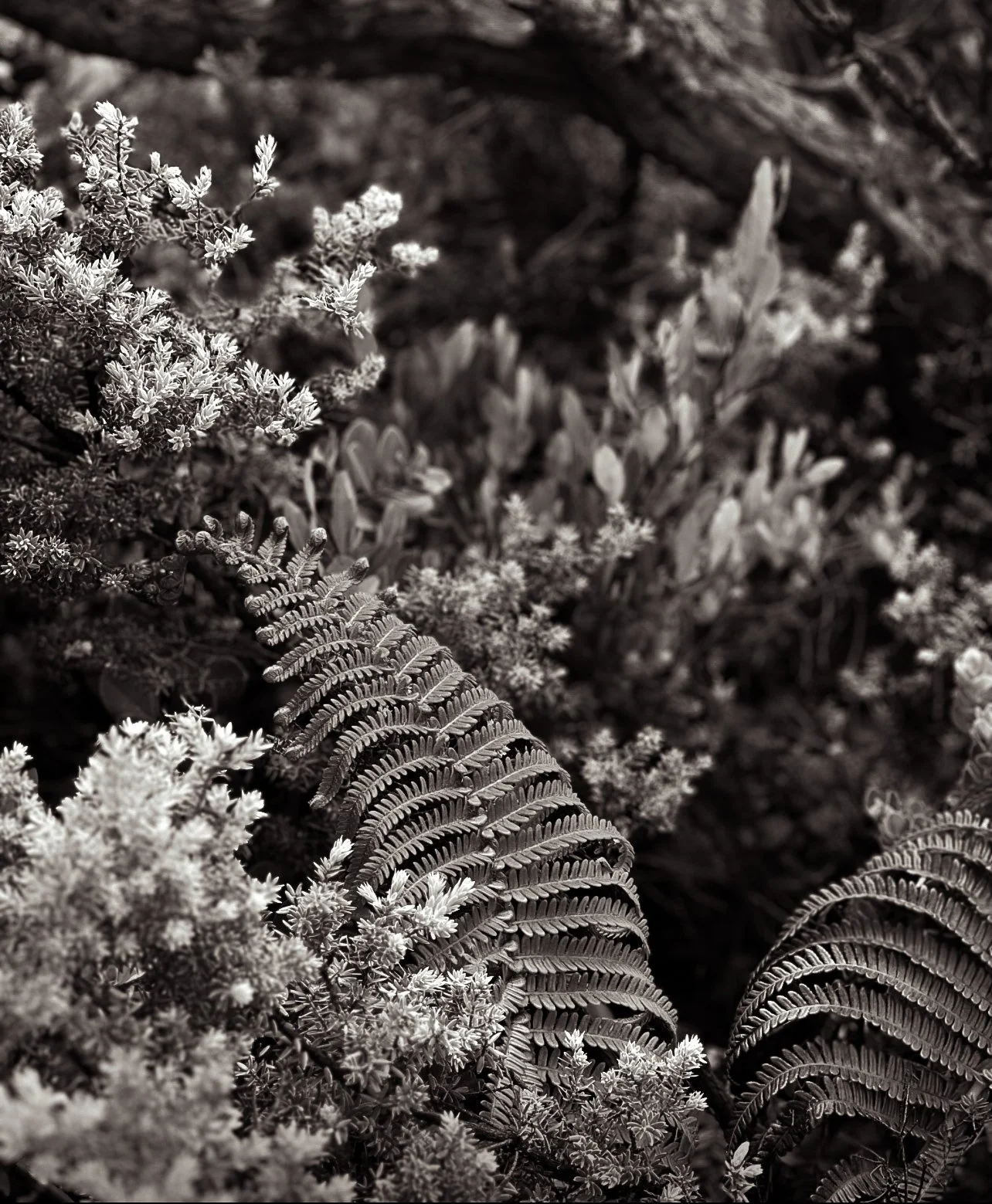 Photo Nov 18 2023, 8 47 29 PM.jpg