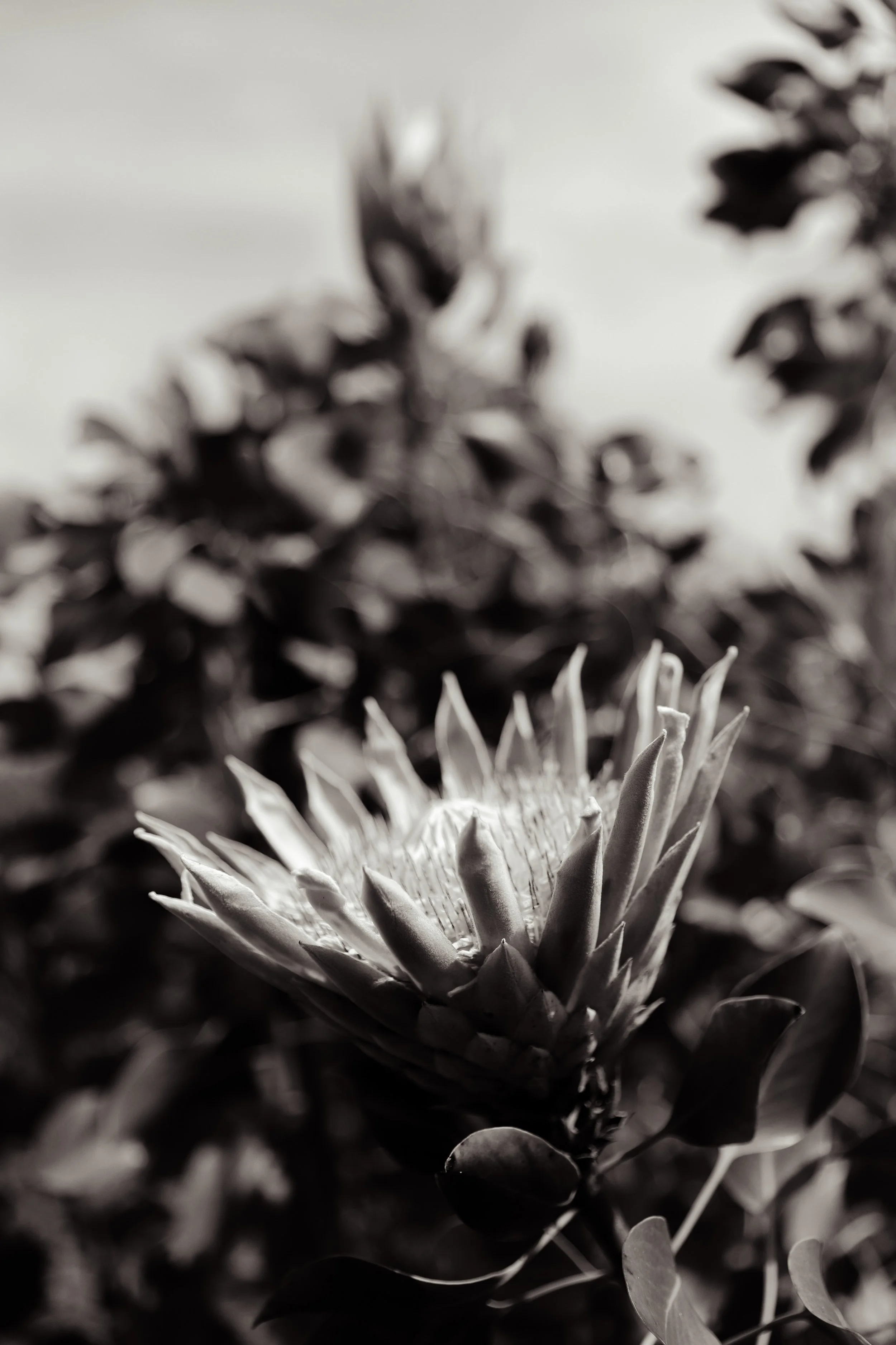 Photo Mar 19 2023, 11 32 43 PM.jpg