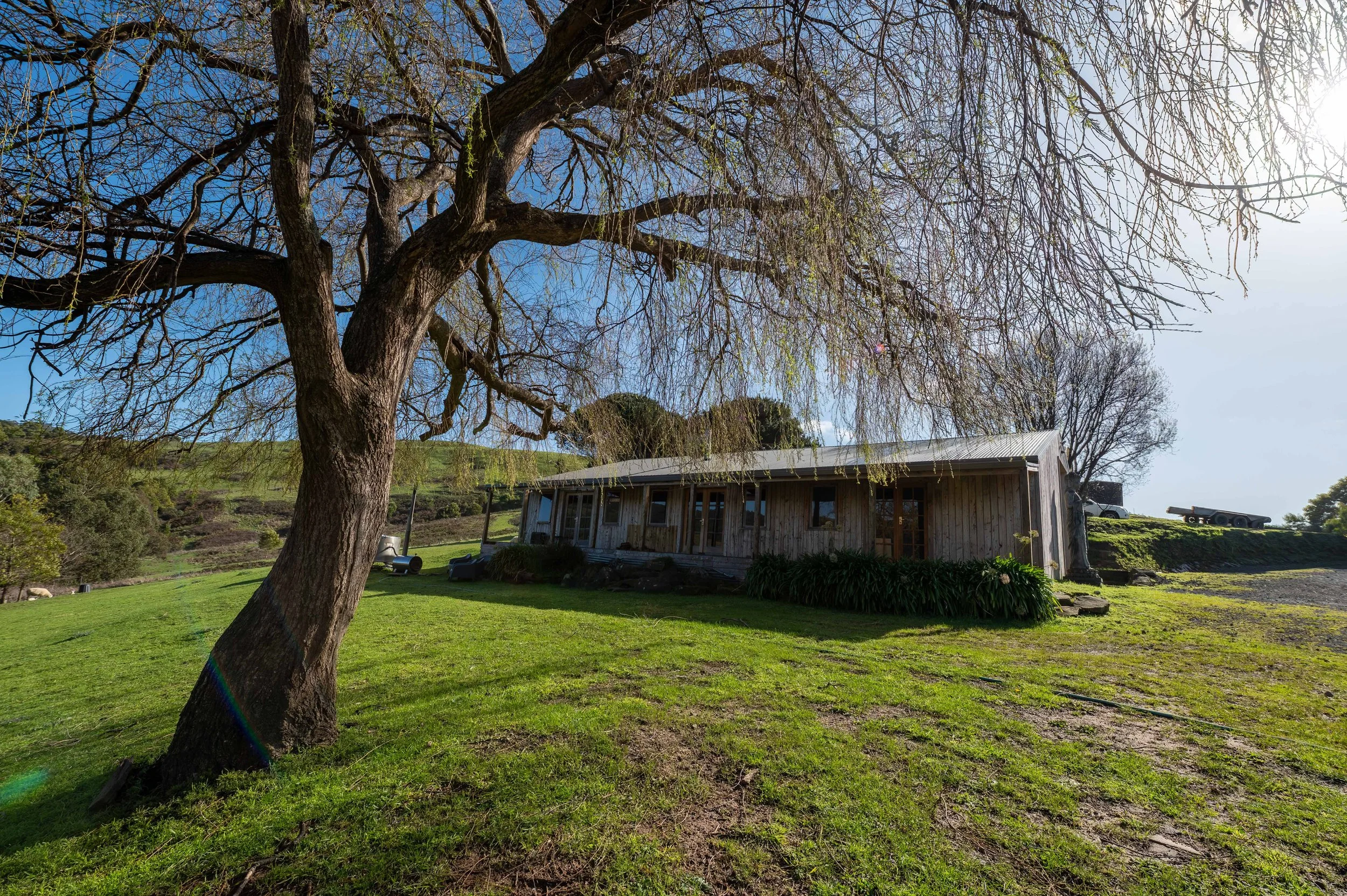 Front exterior of the Country Victoria home with a weeping willow tree in the foreground, showing the home’s relationship to its landscaped surroundings.
