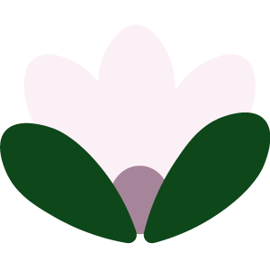 Yksinkertainen piirretty kuva vaaleanpunaisesta kukasta vihreillä lehdillä.