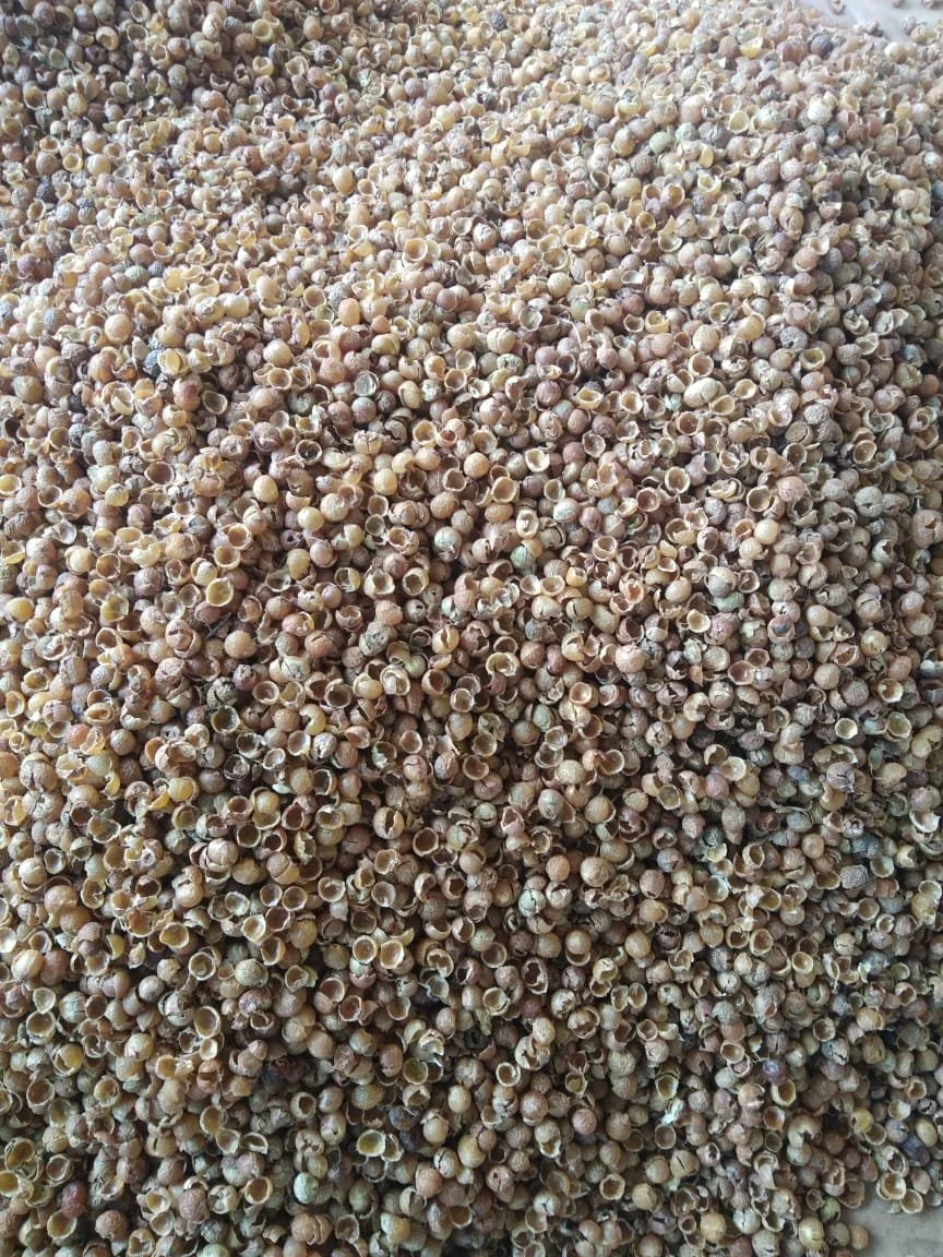Aritha Shells (Soap Nut Shells) (1).jpg