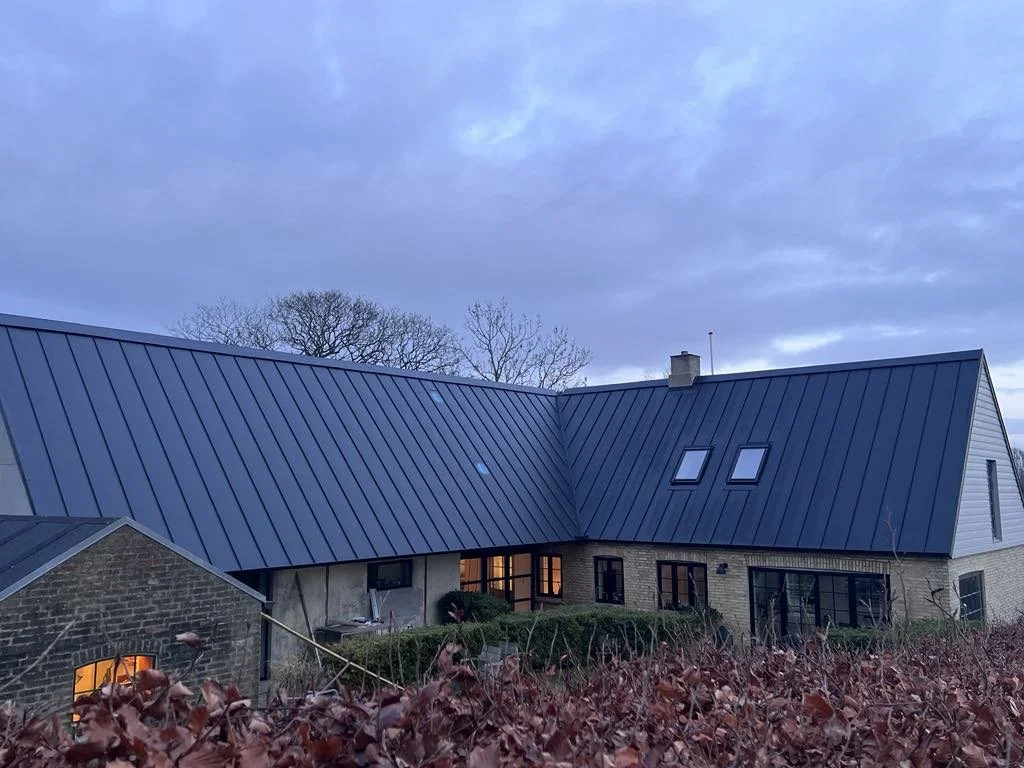 Et moderne hus med skråttag, store vinduer og en baghave med buske, set ved skumring