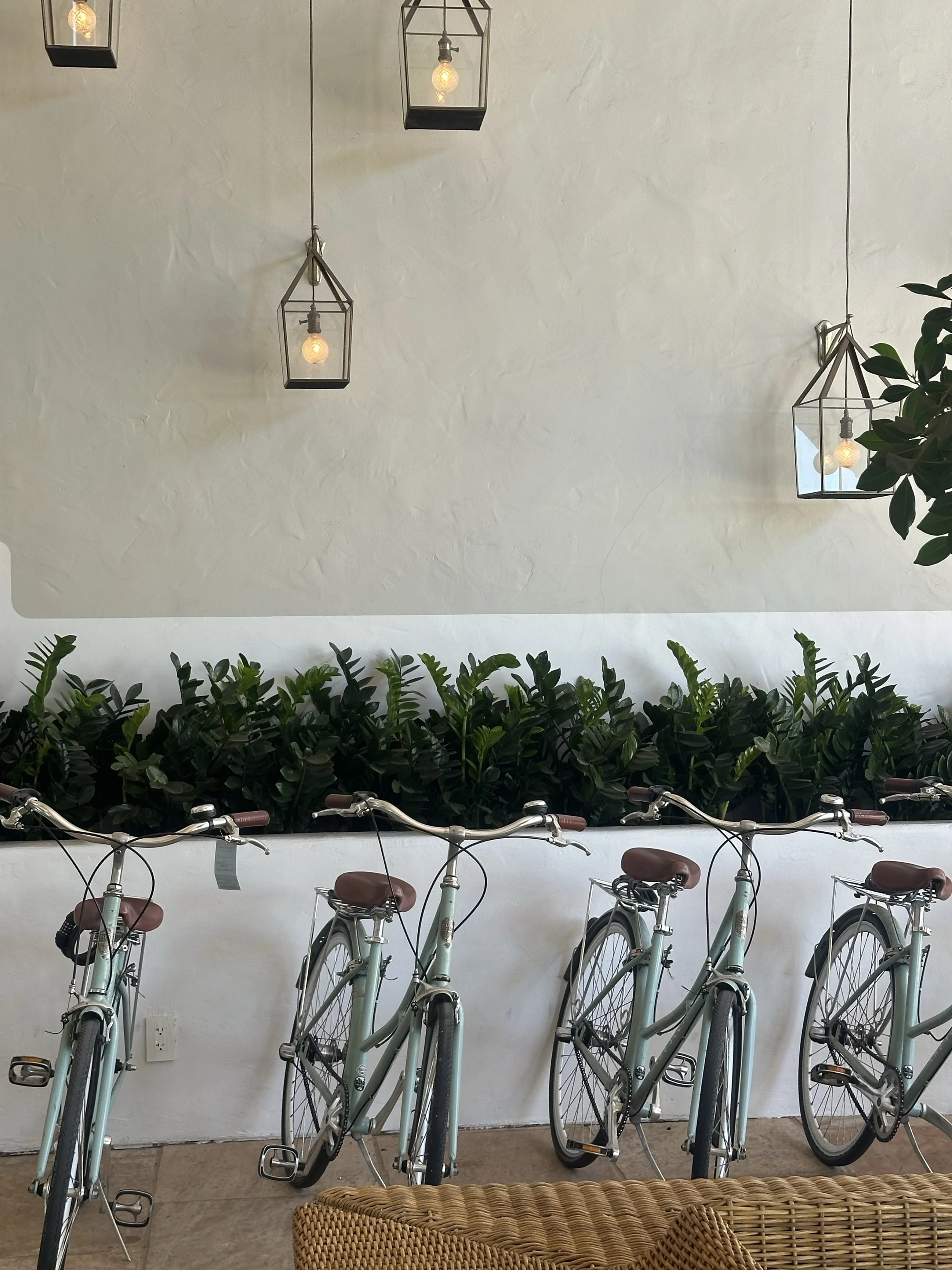 Four mint green bicycles with brown seats and handlebar grips are lined up indoors in front of a white wall with a row of green bushes. Above are five hanging light fixtures with exposed bulbs in black metal frames.