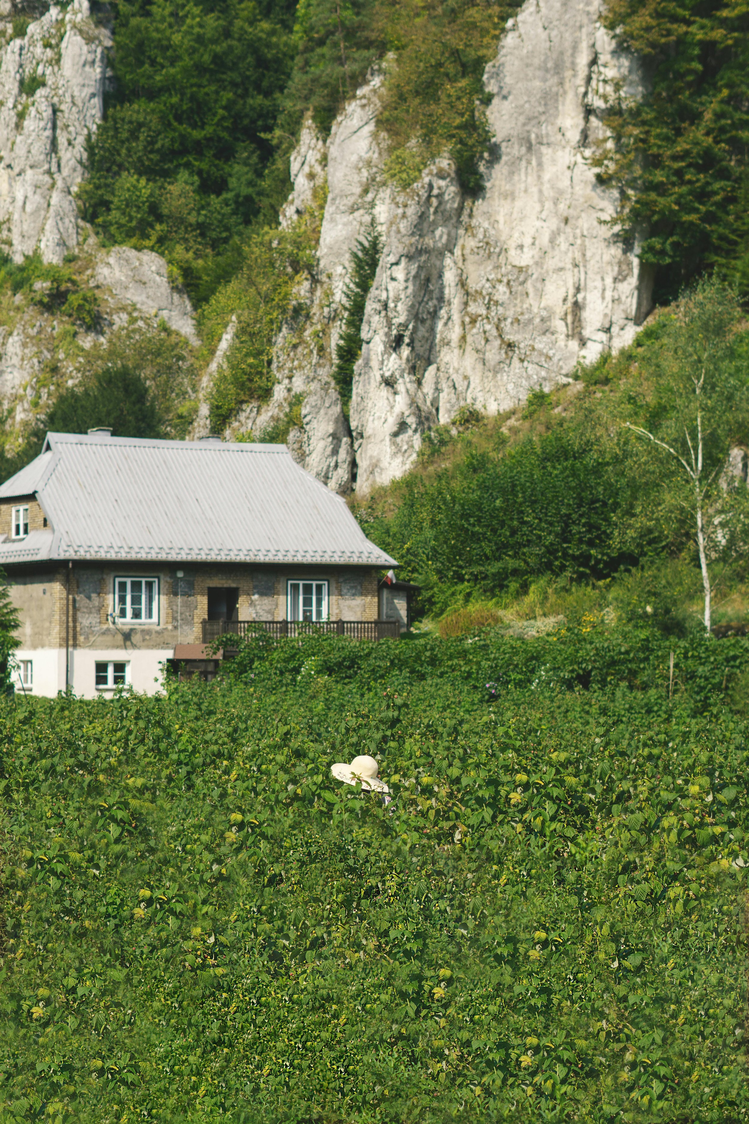 A house with a metal roof on a lush green hillside with rocks and trees in the background, and a straw hat on the field symbolising peace that's possible through menopause coaching for women of a certain age.