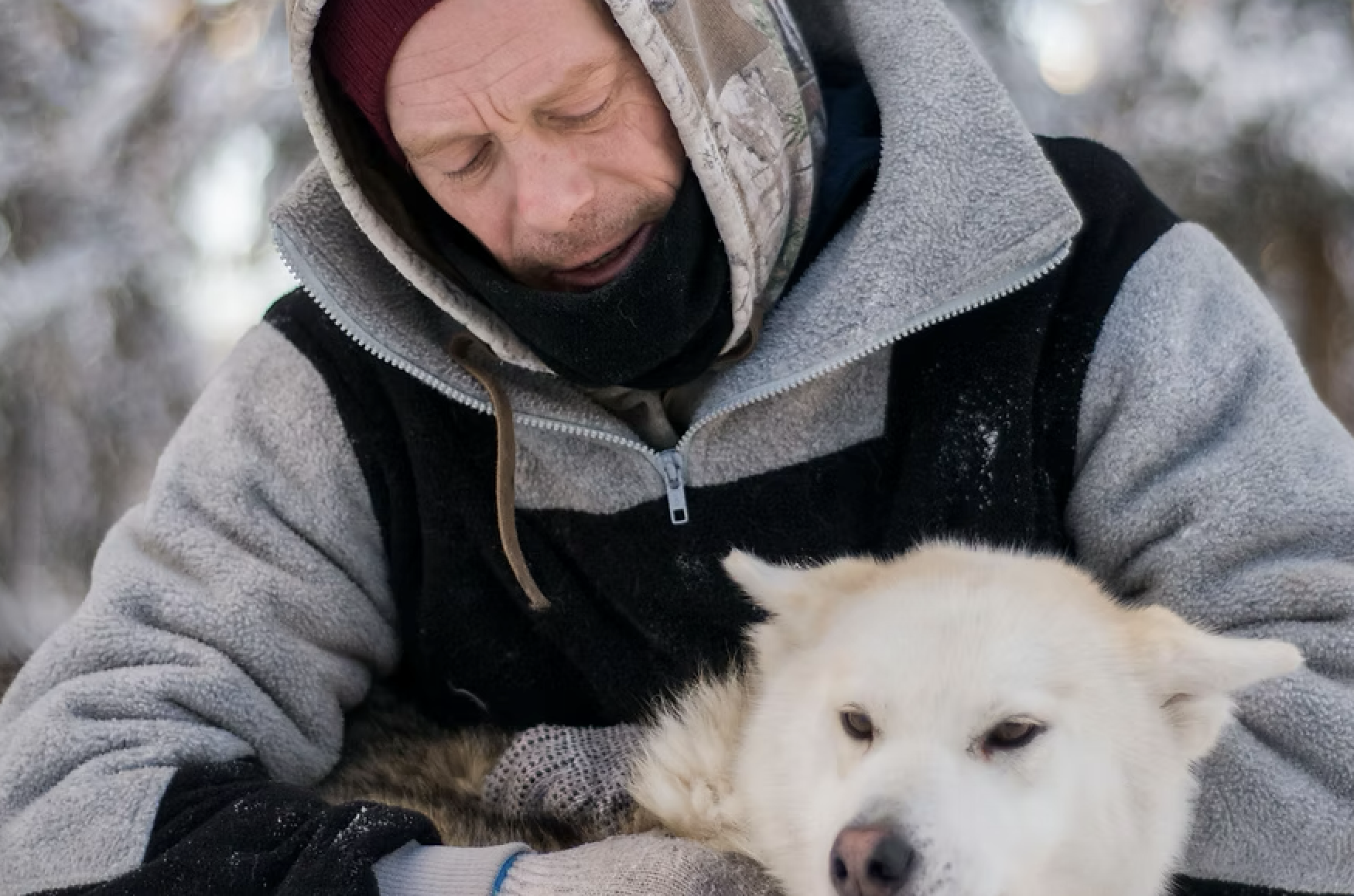 Un homme portant des vêtements d'hiver tient un chien husky blanc dans ses bras, dans un environnement enneigé.