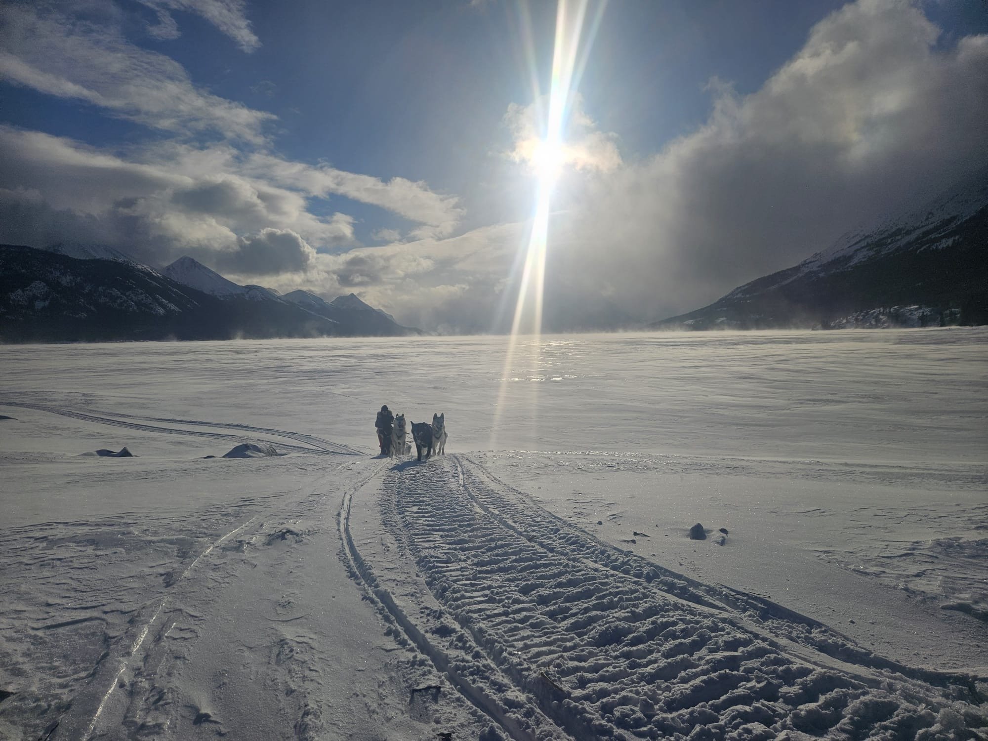 Canada Yukon Expéditions Expeditions Aventures Adventures Traineau à chiens Dog Sledding Motoneige Skidoo 36.JPG