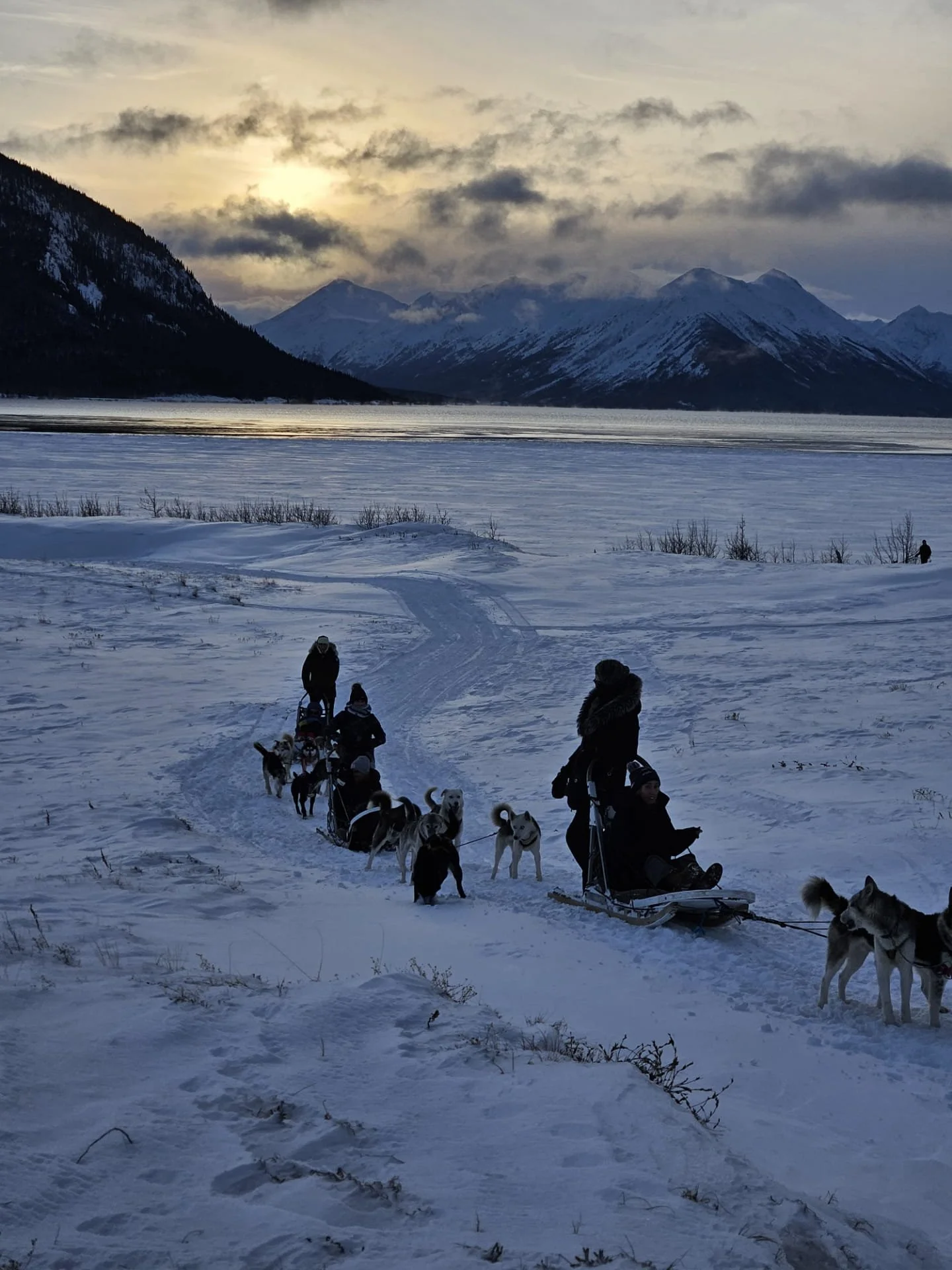 Personnes faisant une promenade en traîneau à chiens dans un paysage enneigé avec des montagnes en arrière-plan, sous un ciel nuageux en fin d'après-midi ou en début de soirée.