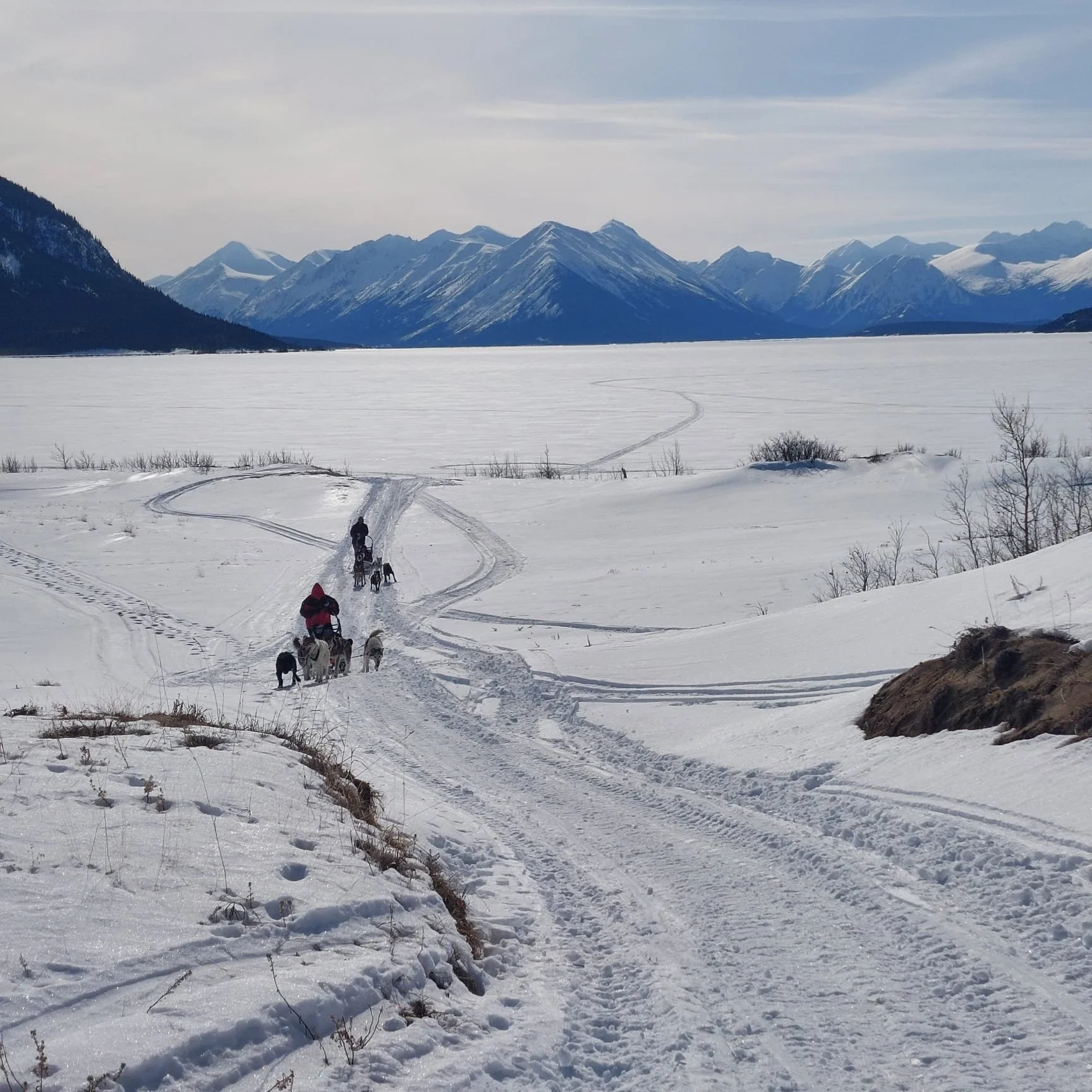 Canada Yukon Expéditions Expeditions Aventures Adventures Traineau à chiens Dog Sledding Motoneige Skidoo Aurores Boreales 46.jpeg