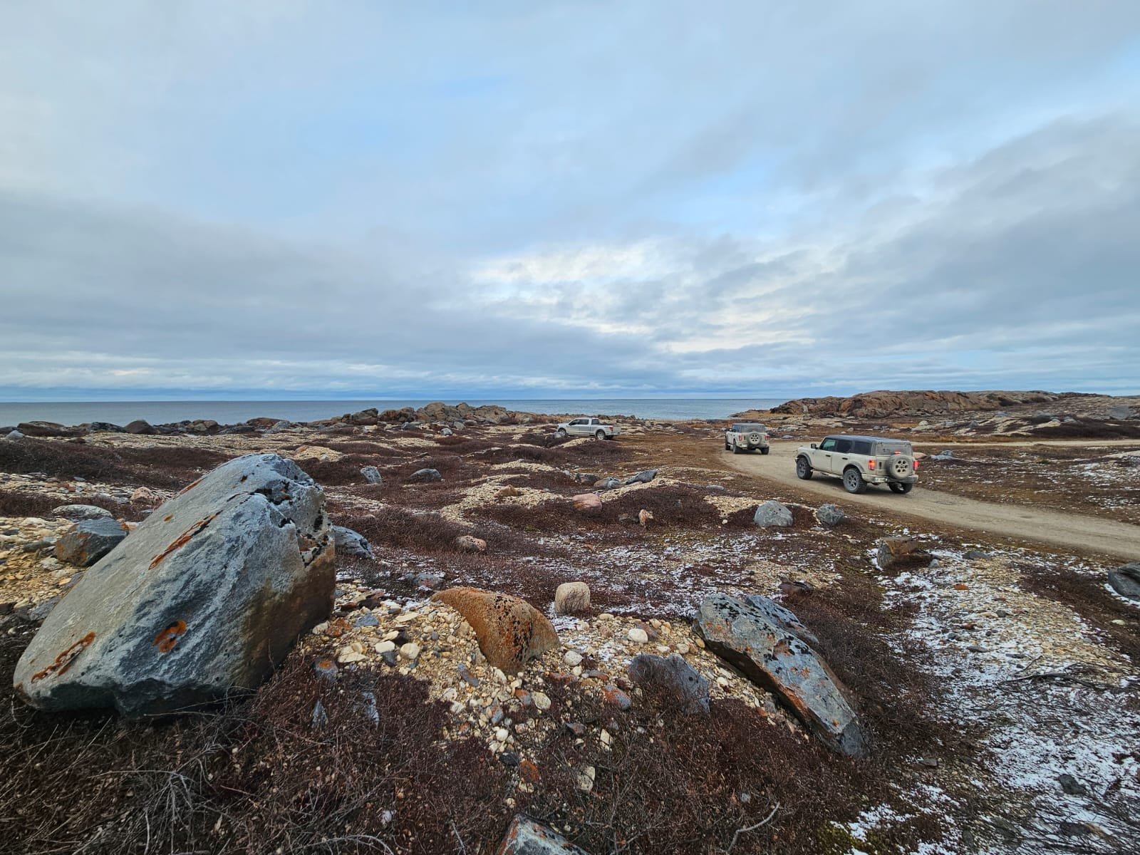 Churchill Manitoba Canada Aventures Adventures Expeditions Ours Polaires Polar Bears 23.jpeg