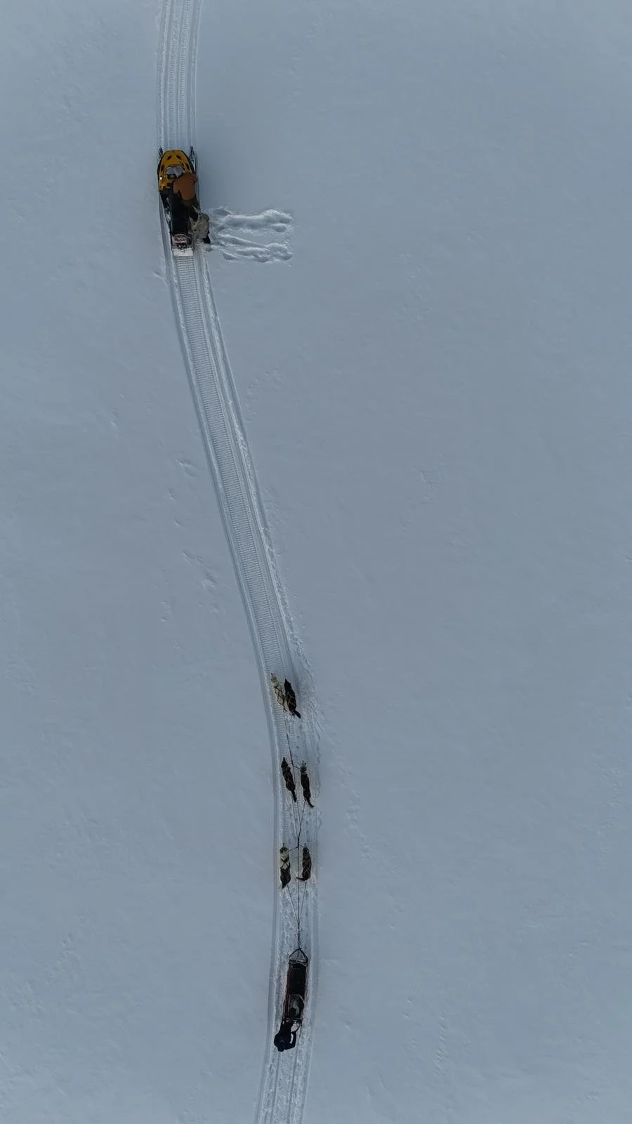 Canada Yukon Expéditions Expeditions Aventures Adventures Traineau à chiens Dog Sledding Motoneige Skidoo 11.jpeg