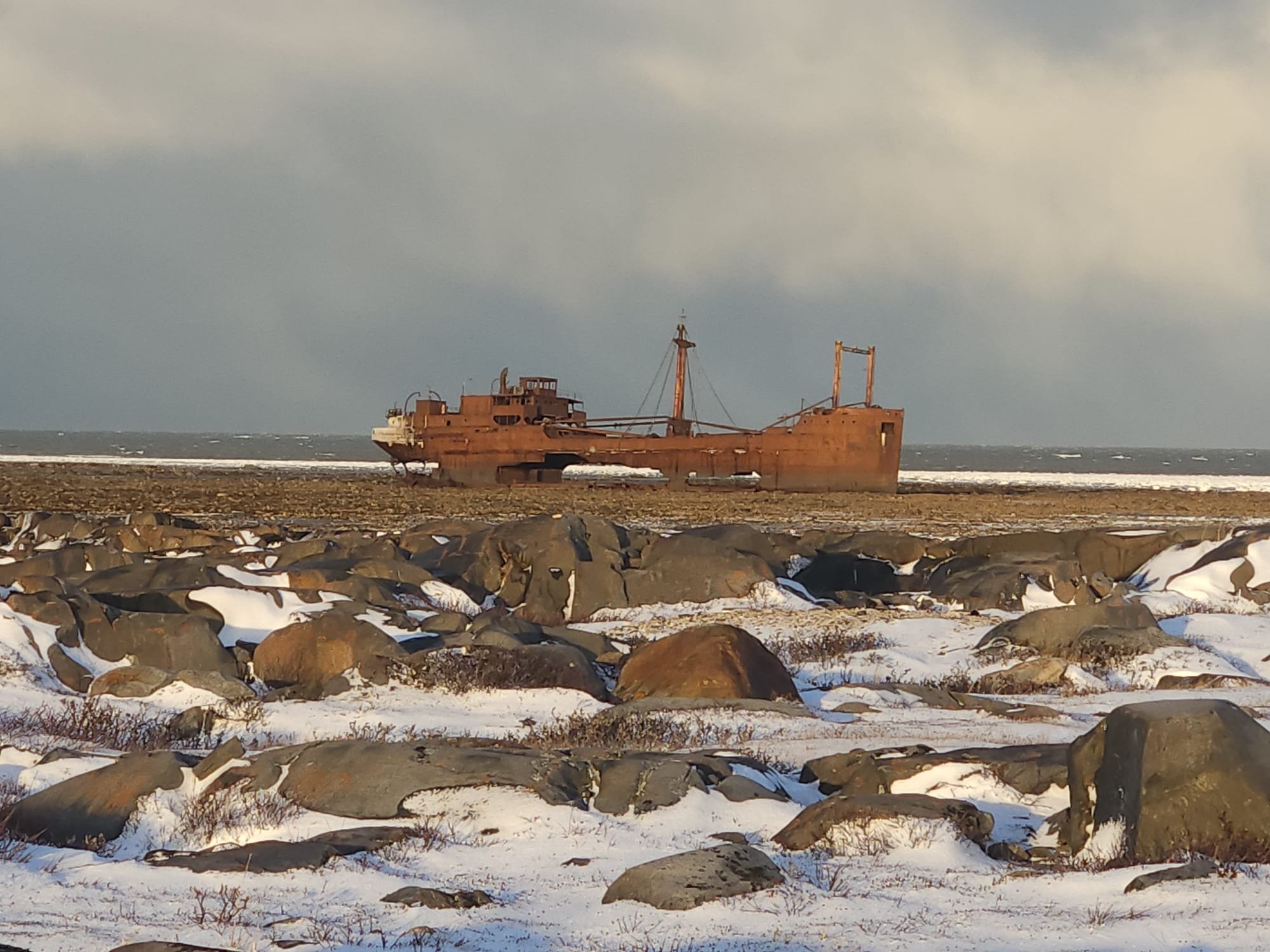Churchill Manitoba Canada Aventures Adventures Expeditions Ours Polaires Polar Bears 17.jpeg