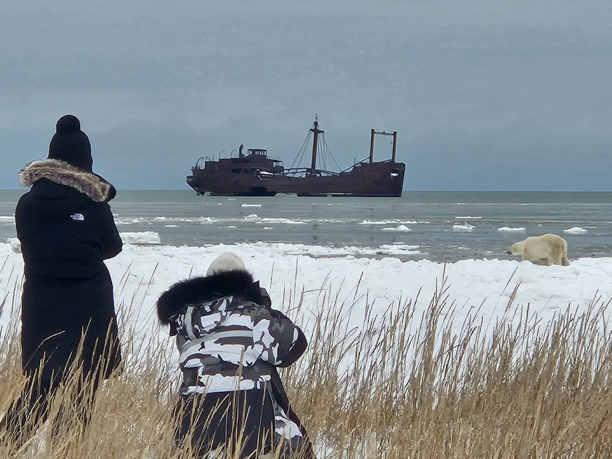 Deux personnes dans des hautes herbes sèches face à un océan, en train de photographier le fameux bateau abandonné en ferraille dans l'eau sous un ciel nuageux.