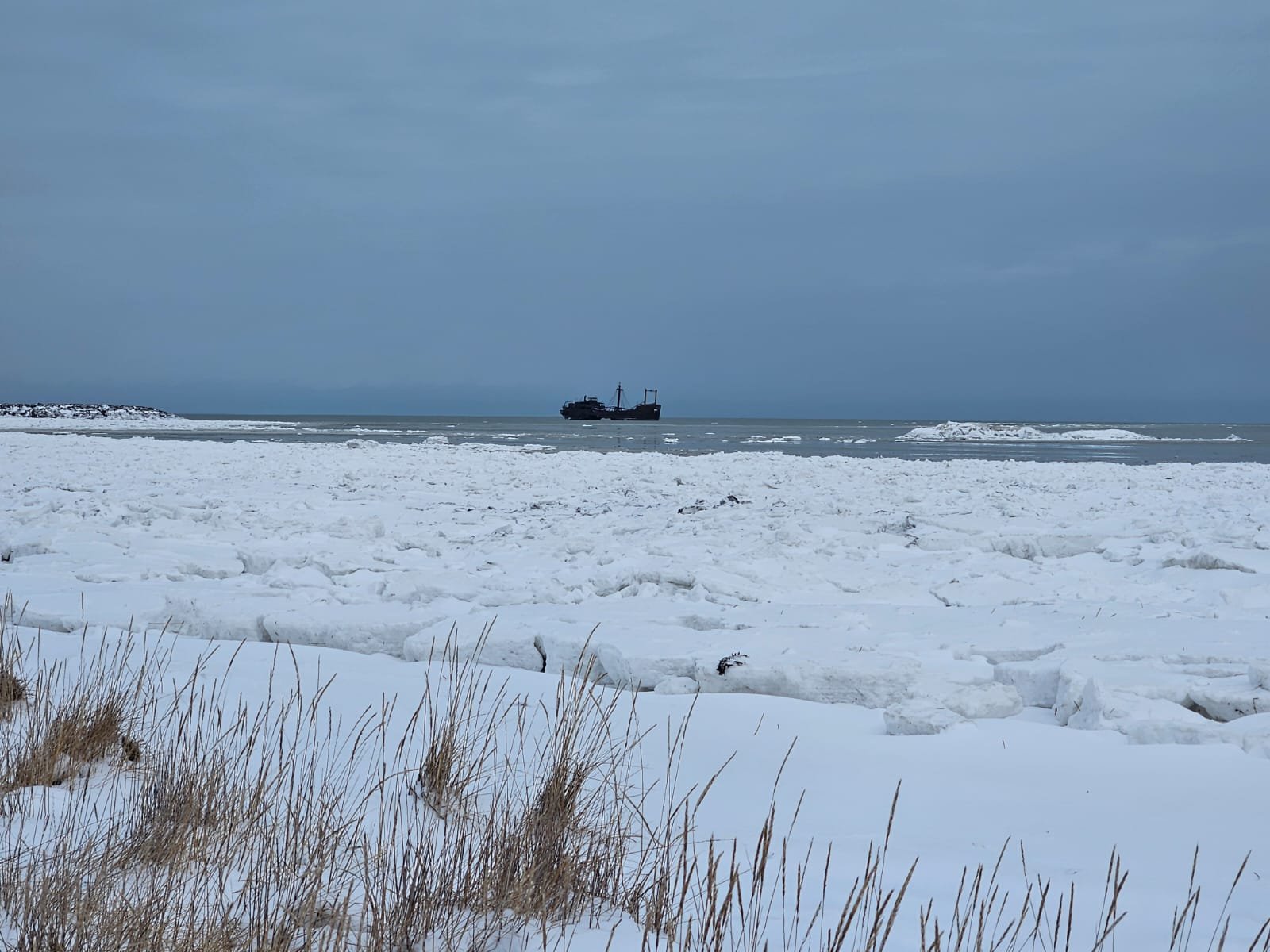 Churchill Manitoba Canada Aventures Adventures Expeditions Ours Polaires Polar Bears 16.jpeg