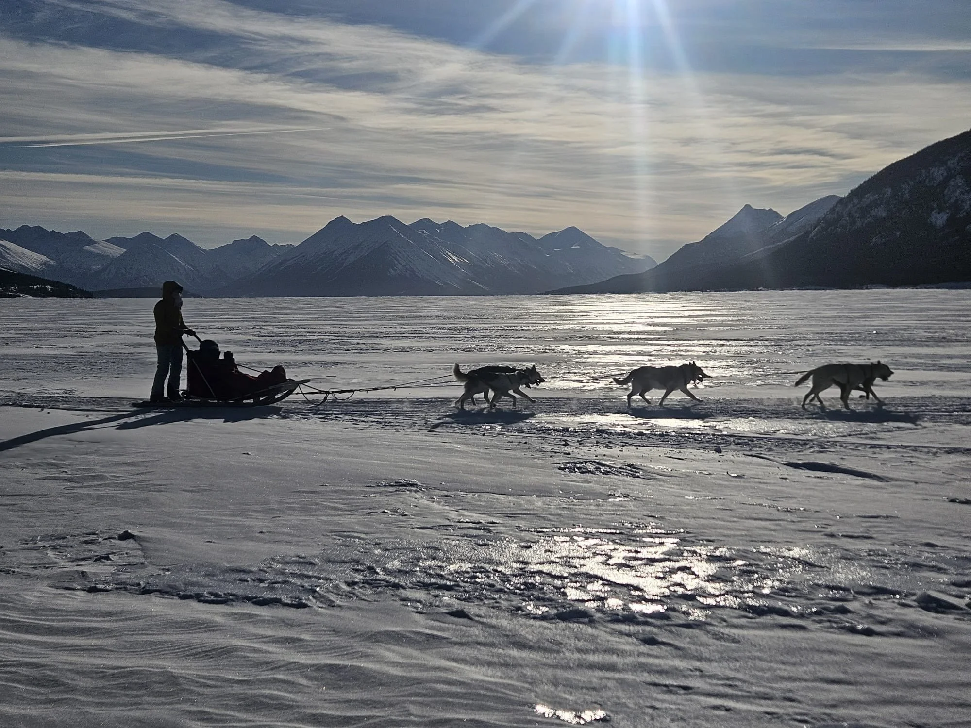 Canada Yukon Expéditions Expeditions Aventures Adventures Traineau à chiens Dog Sledding Motoneige Skidoo 35.JPG