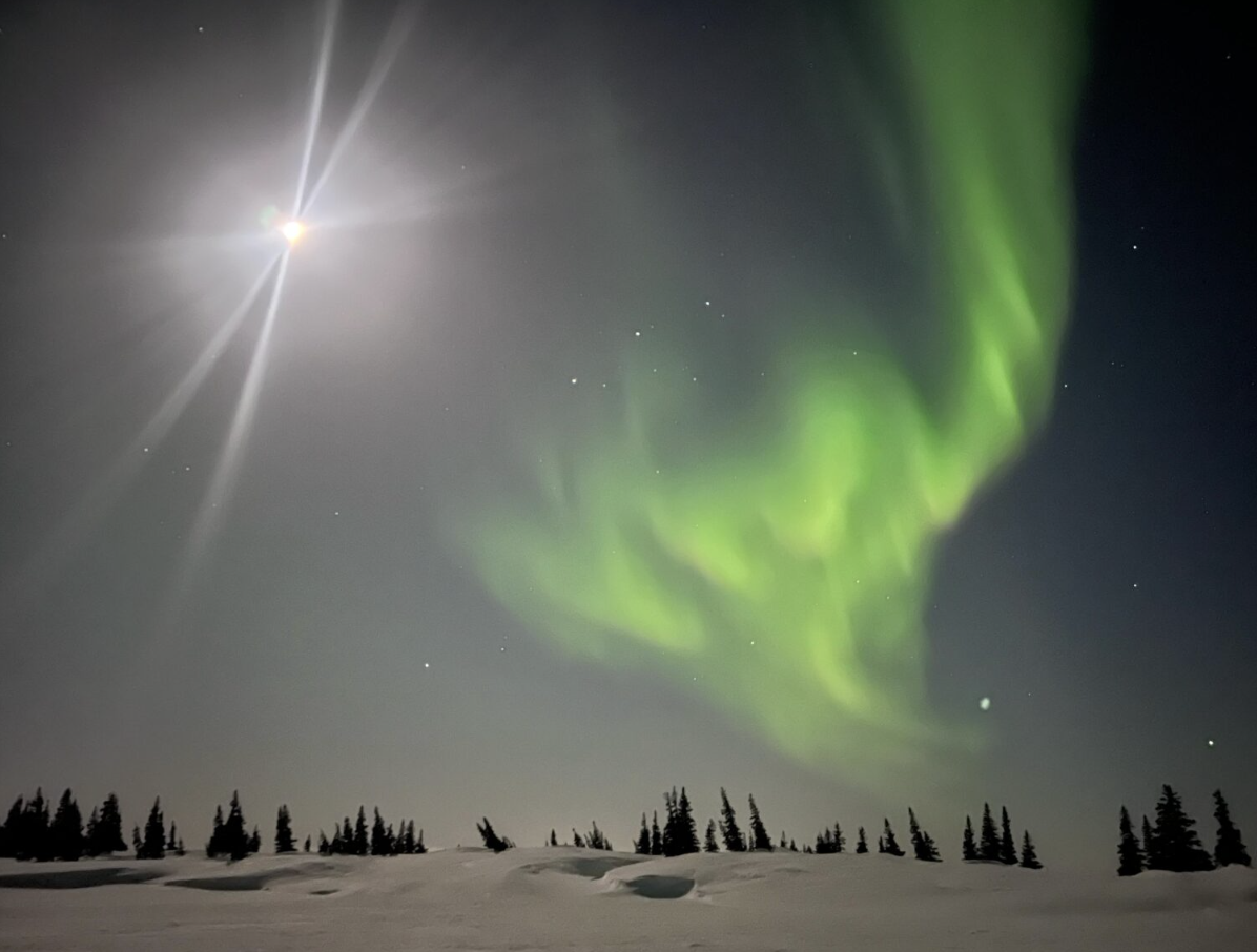 Aurore boréale verte dans un ciel nocturne avec la lune brillante et des étoiles, au-dessus d'une forêt enneigée.