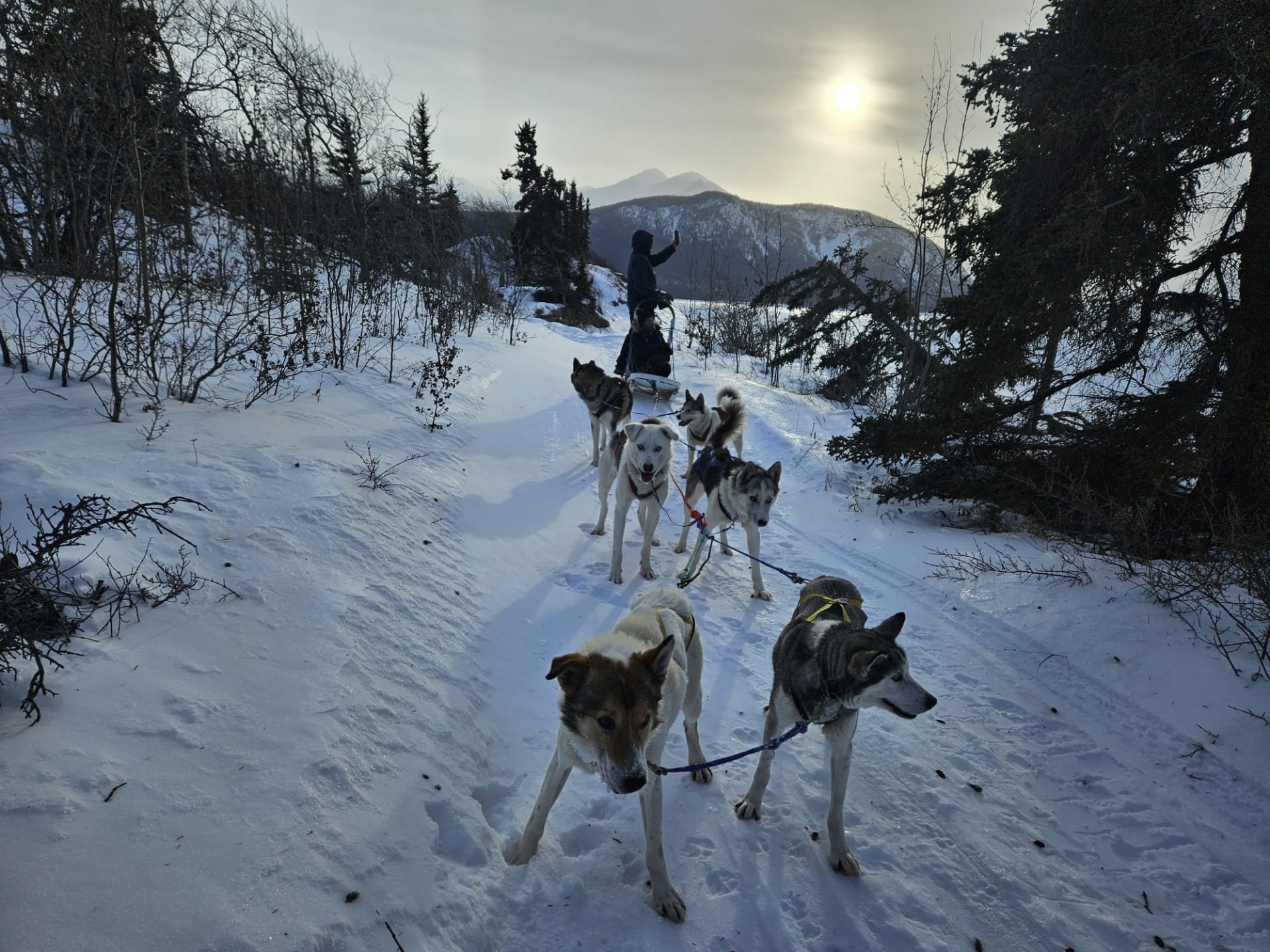 Canada Yukon Expéditions Expeditions Aventures Adventures Traineau à chiens Dog Sledding Motoneige Skidoo 30.jpg