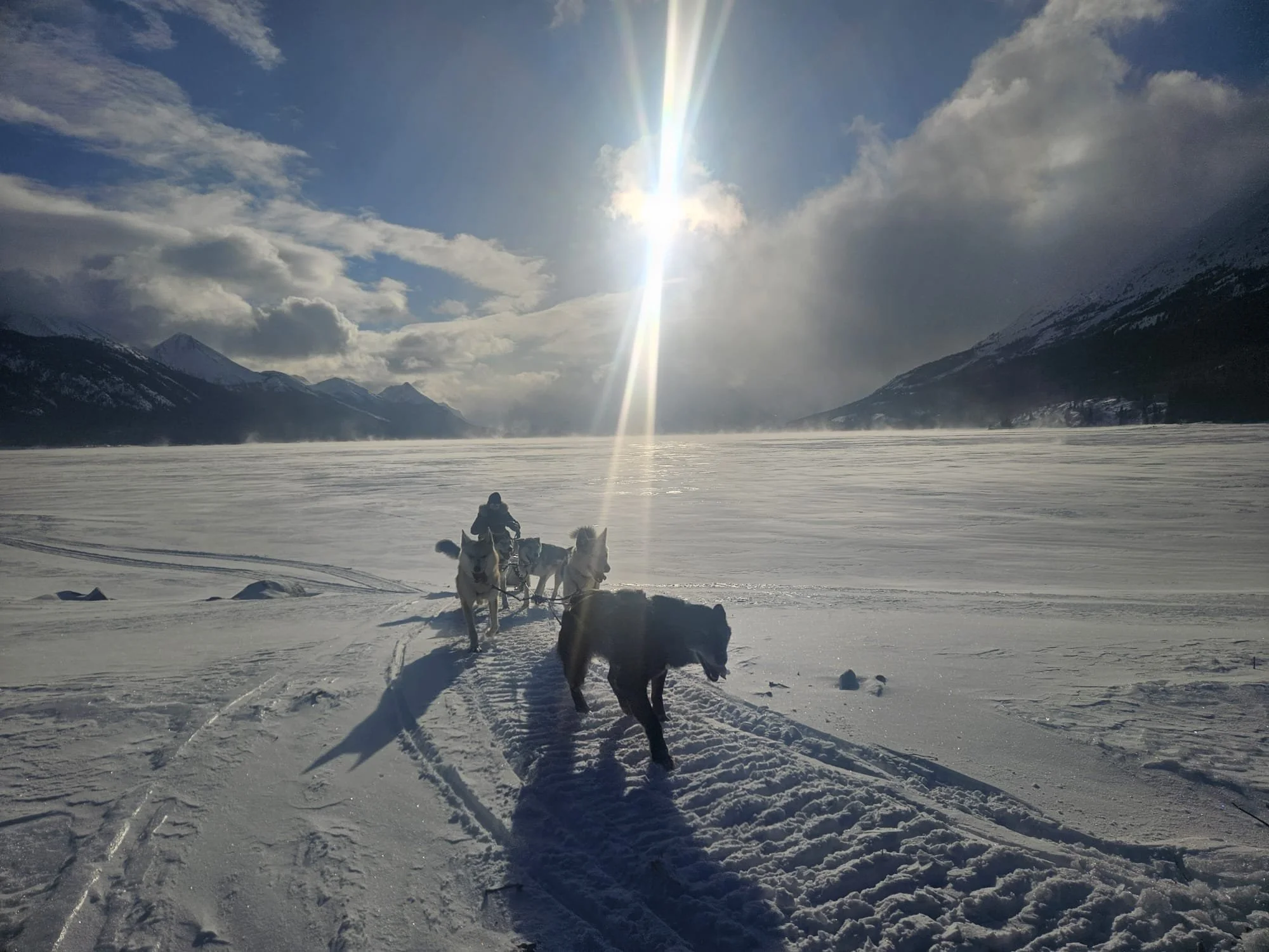 Une personne et des chiens de traîneau traversant un paysage enneigé avec des montagnes et un ciel nuageux, soleil brillant au centre.