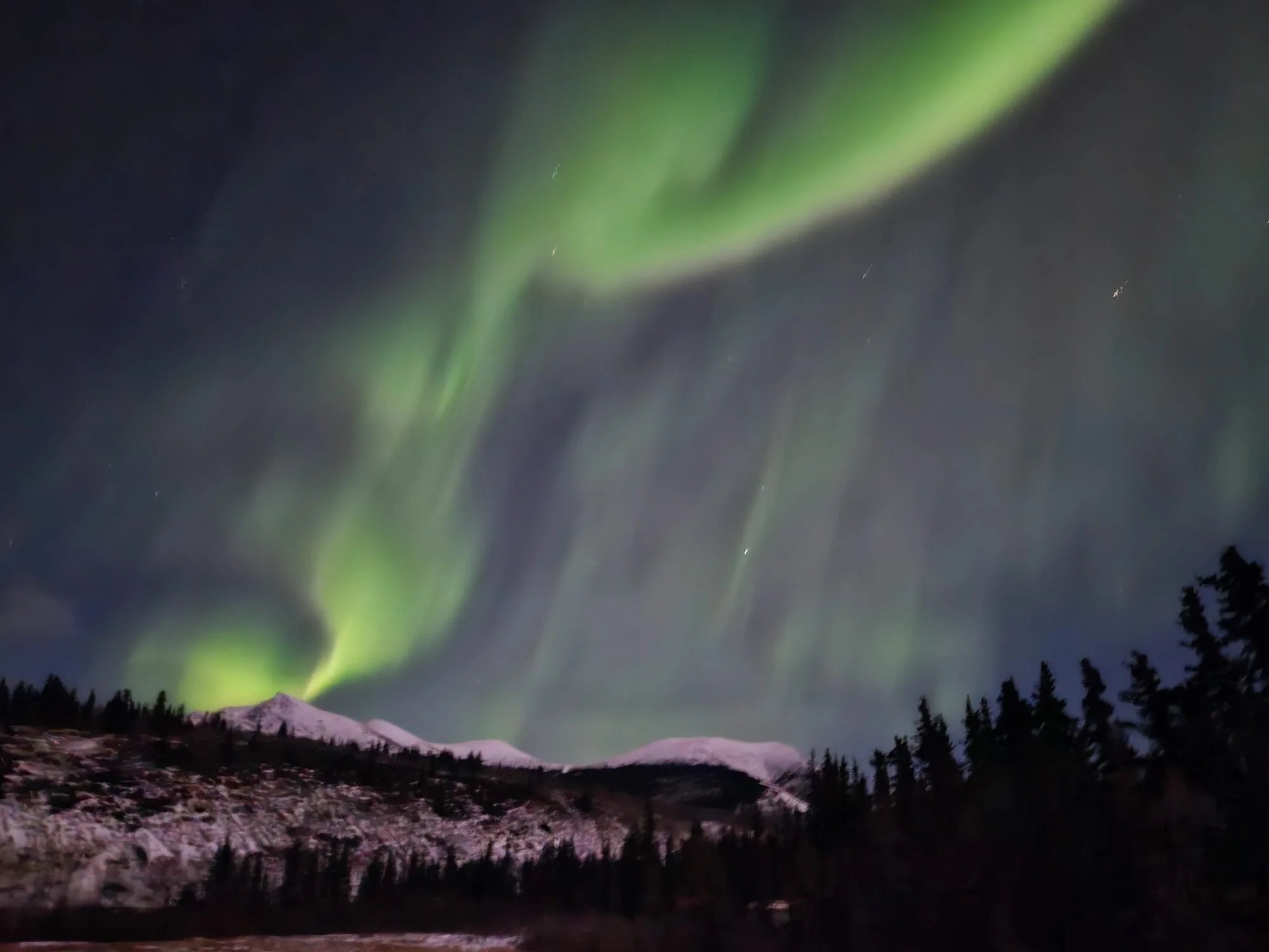 Immense aurore boréale verte dans le ciel nocturne au-dessus de montagnes enneigées et d'une forêt noire.