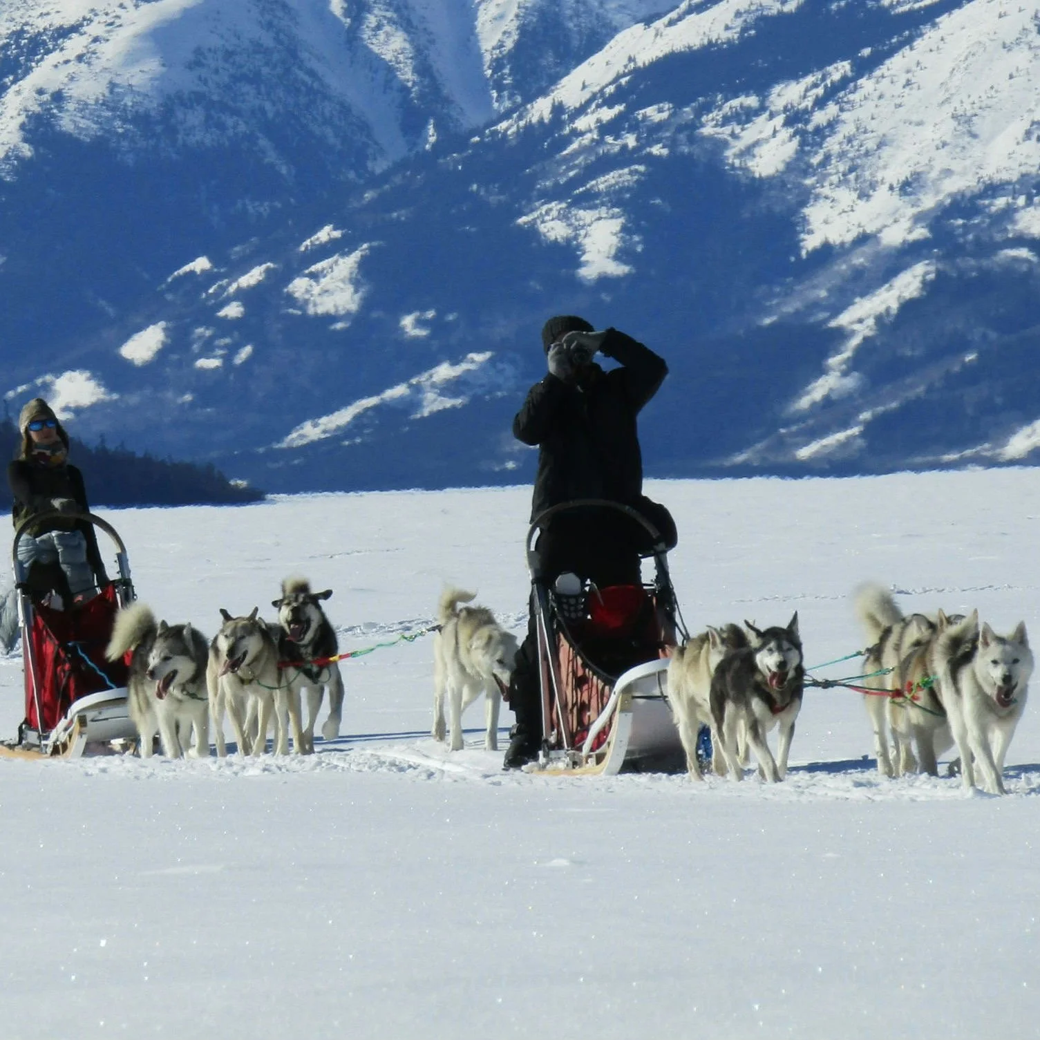 Canada Yukon Expéditions Expeditions Aventures Adventures Traineau à chiens Dog Sledding Motoneige Skidoo 27.JPG