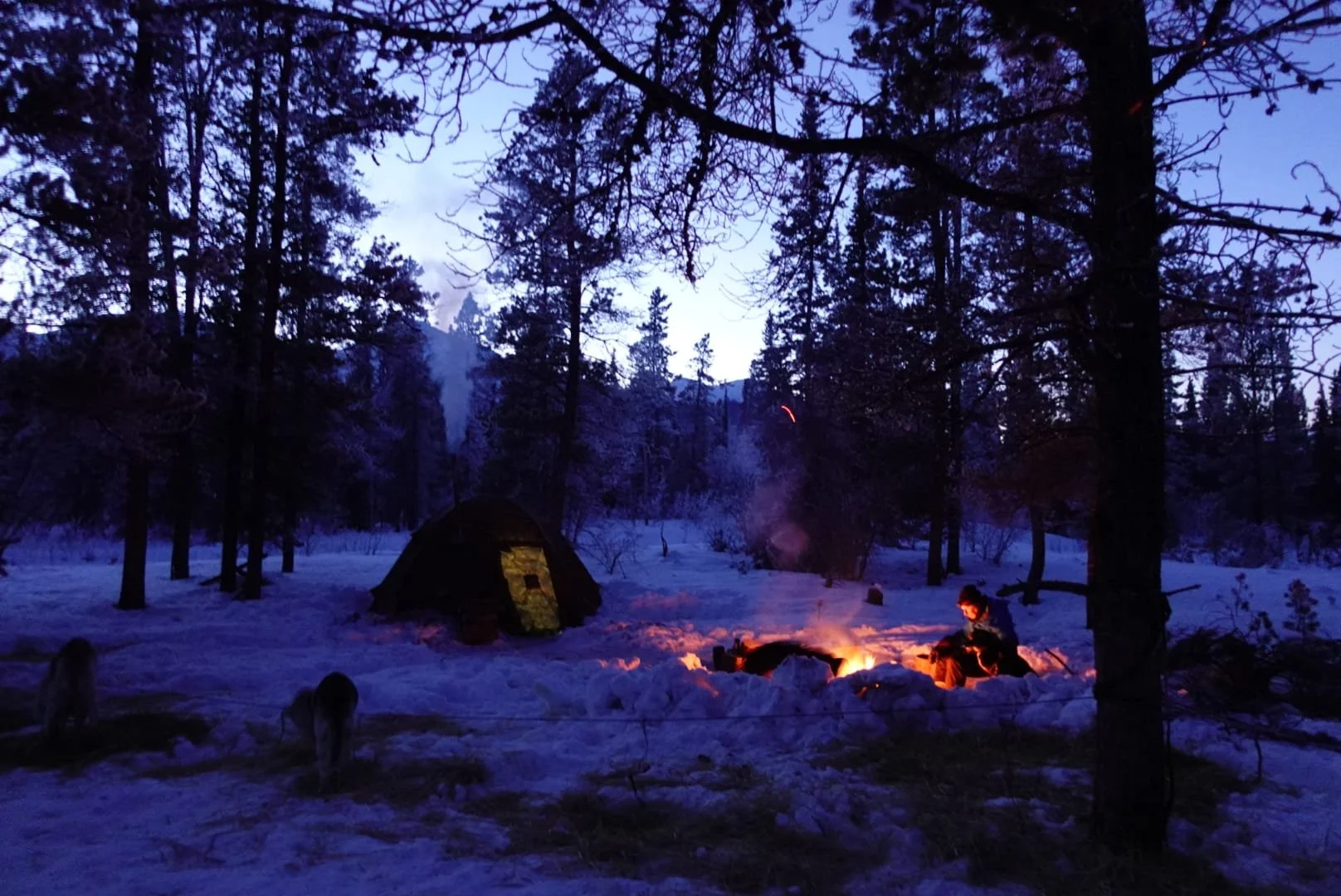 Scène de camping dans une forêt enneigée au crépuscule, avec un feu de camp allumé, une tente et une personne assise près du feu.