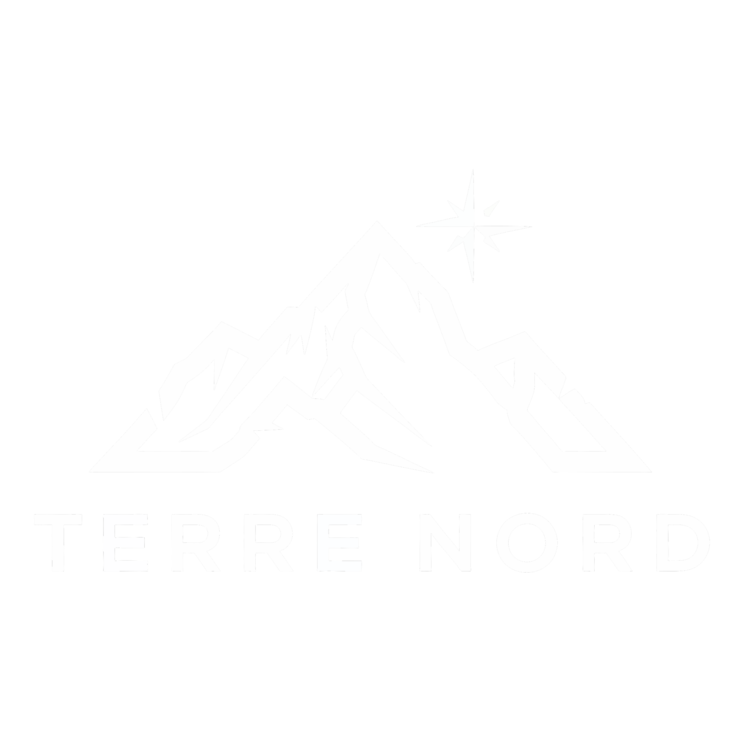 Logo noir et blanc avec une illustration stylisée d'une montagne avec un sommet pointu, une étoile scintillante à côté et la phrase 'TERRE NOIR' en lettres majuscules en bas.