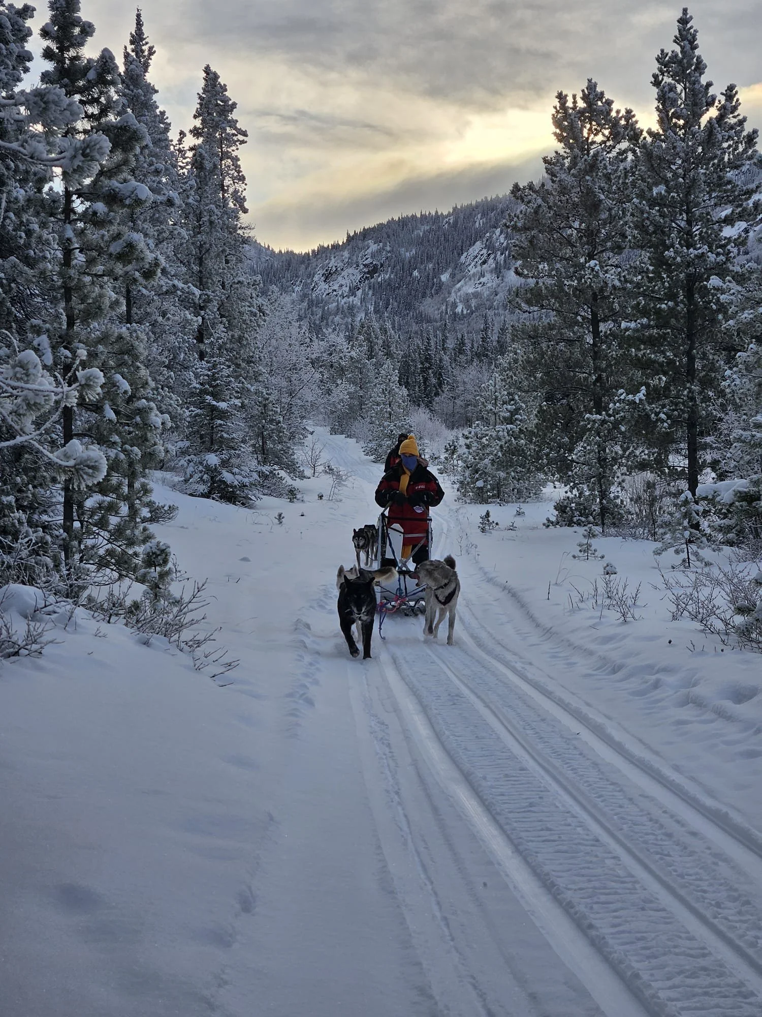 Canada Yukon Expéditions Expeditions Aventures Adventures Traineau à chiens Dog Sledding Motoneige Skidoo Aurores Boreales 38.jpeg