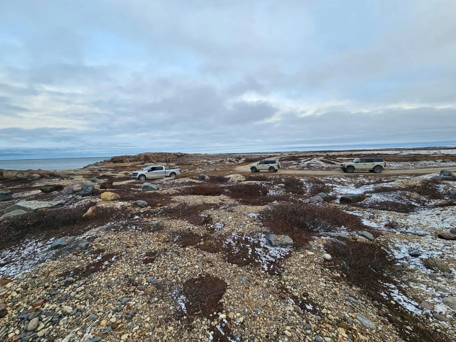 Churchill Manitoba Canada Aventures Adventures Expeditions Ours Polaires Polar Bears 22.jpeg