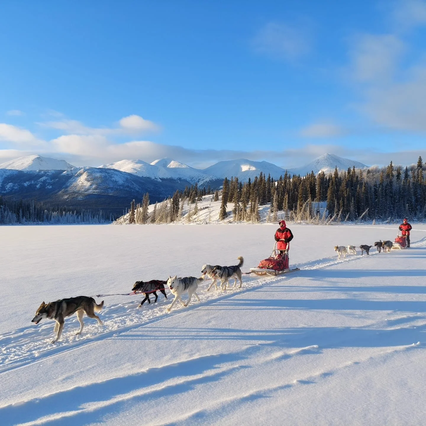 Deux personnes en traîneau à chiens dans un paysage enneigé avec des montagnes et des arbres au fond.