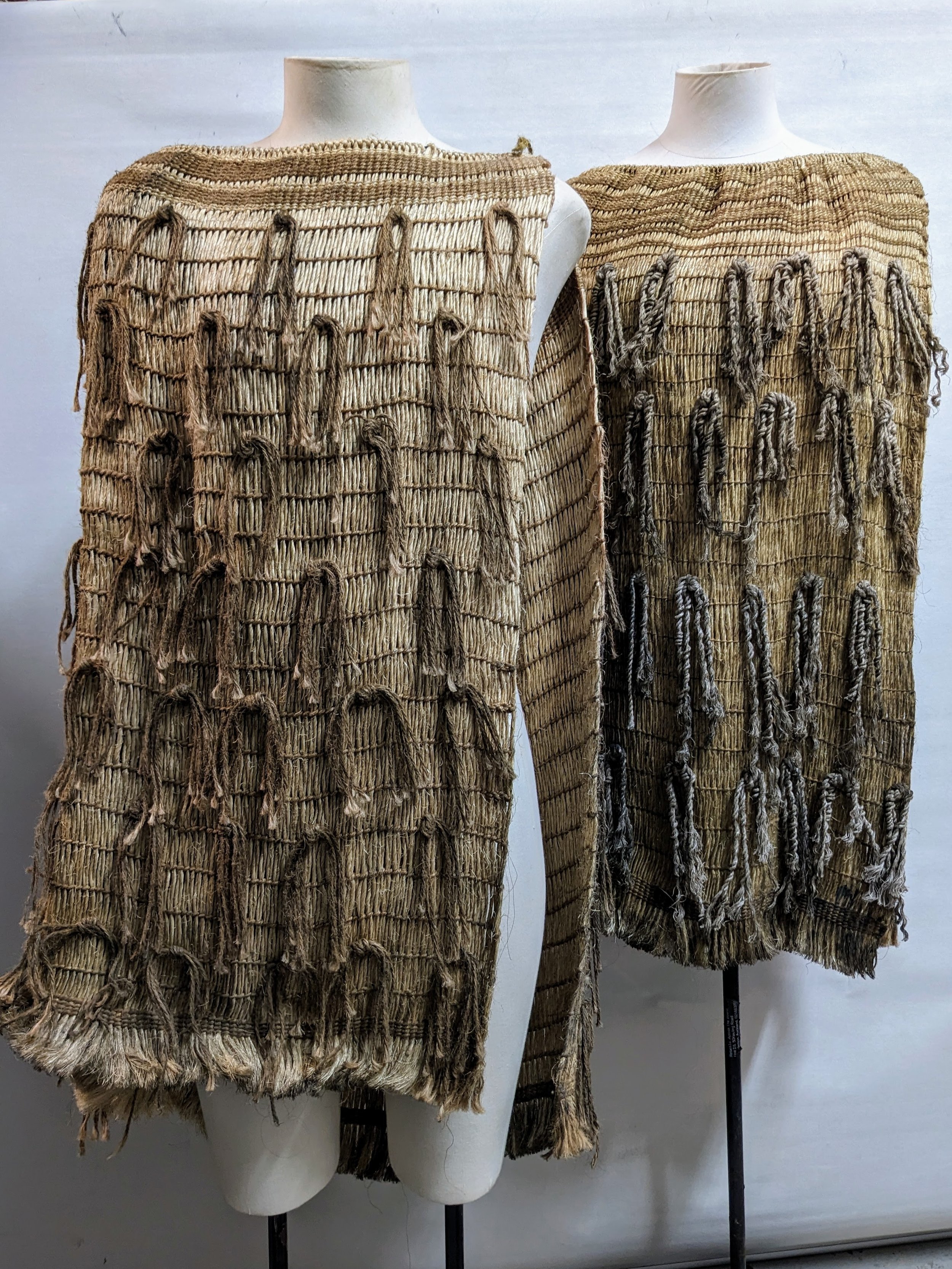 PXL_20230301_010917688 (1).jpg