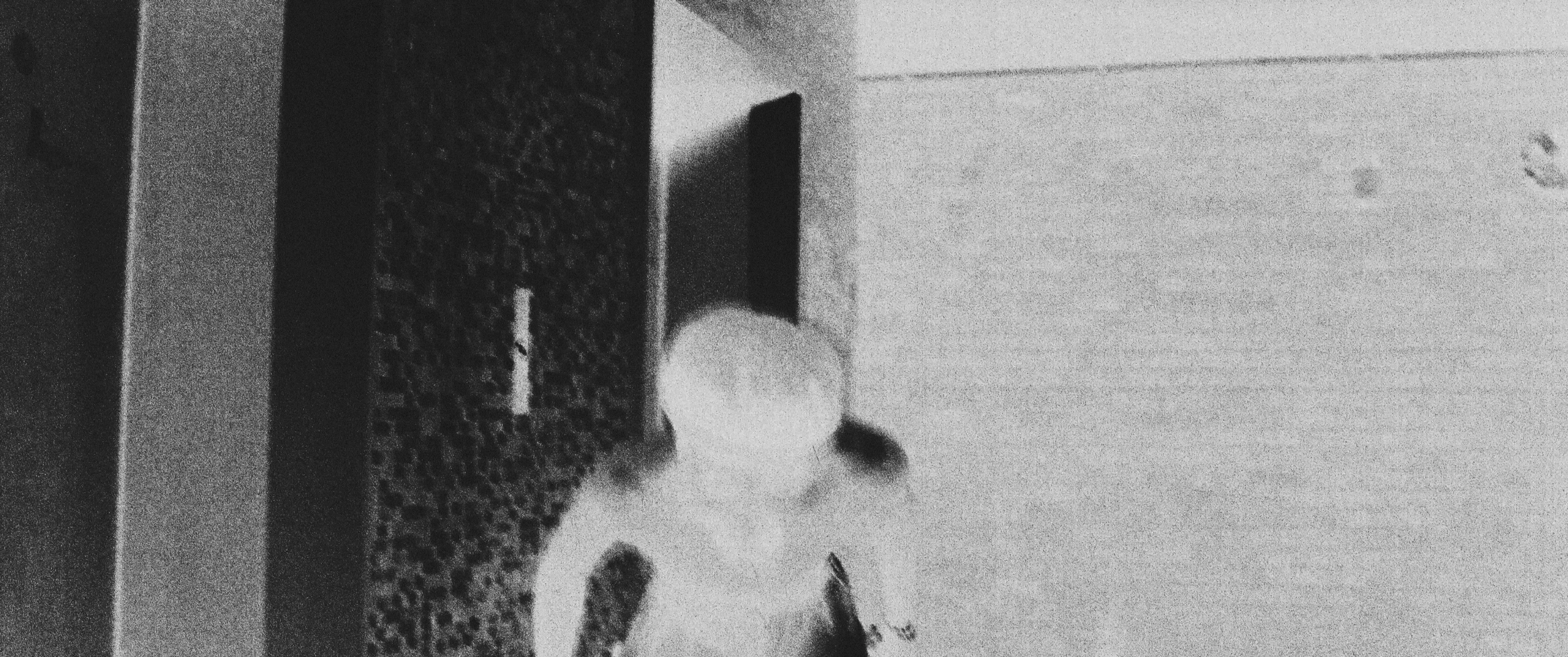 Screenshot+2026-08-21+at+17.03.13.png