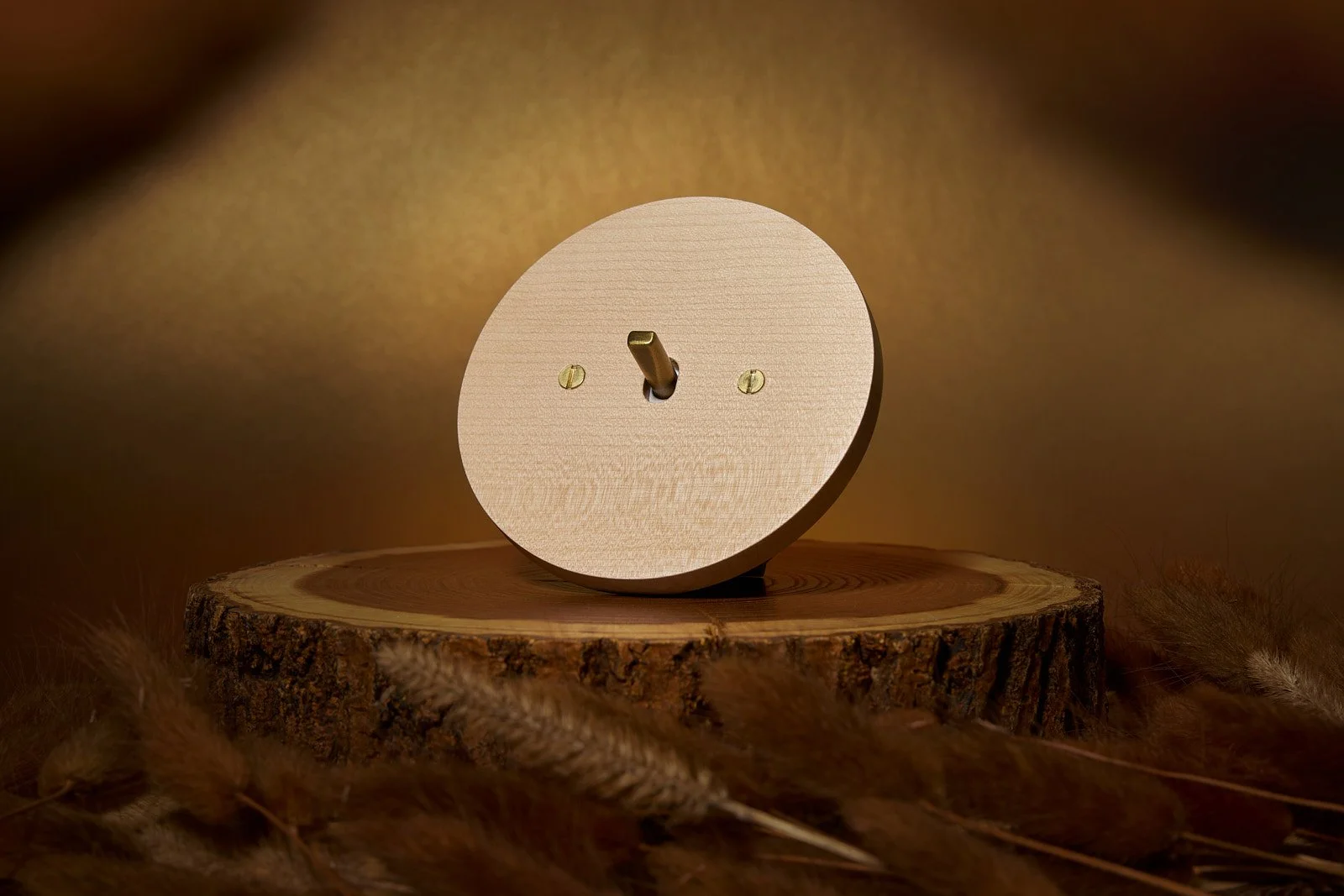 A minimalist, round wooden clock face with no numbers, mounted on a wood base, surrounded by soft feathers and set against a warm brown background.