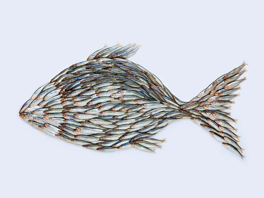 cd5KEZ1i9CfbN7bVm2XEq