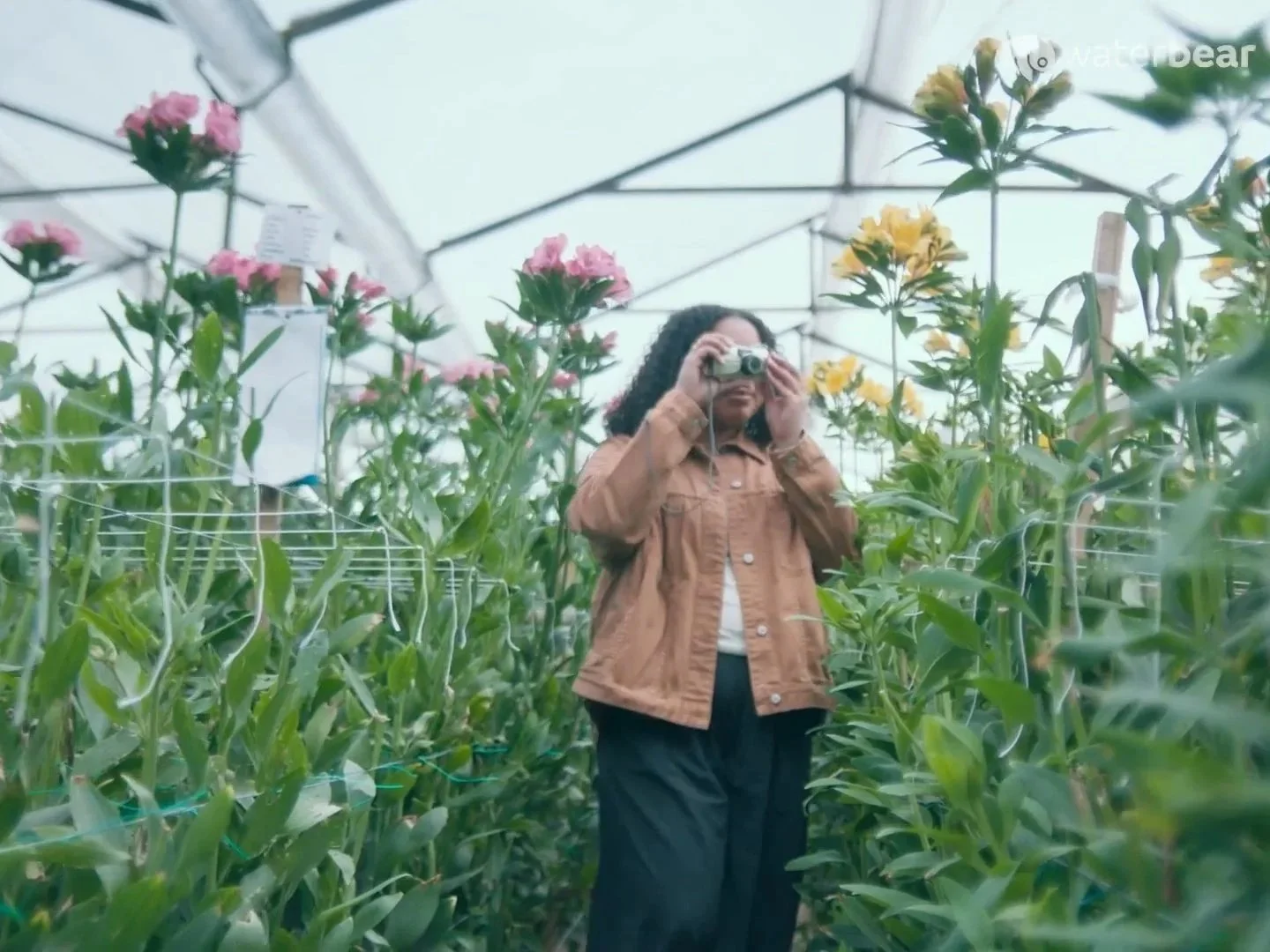 Where the Flowers Grow | Imagine5 - EXEC PRODUCER