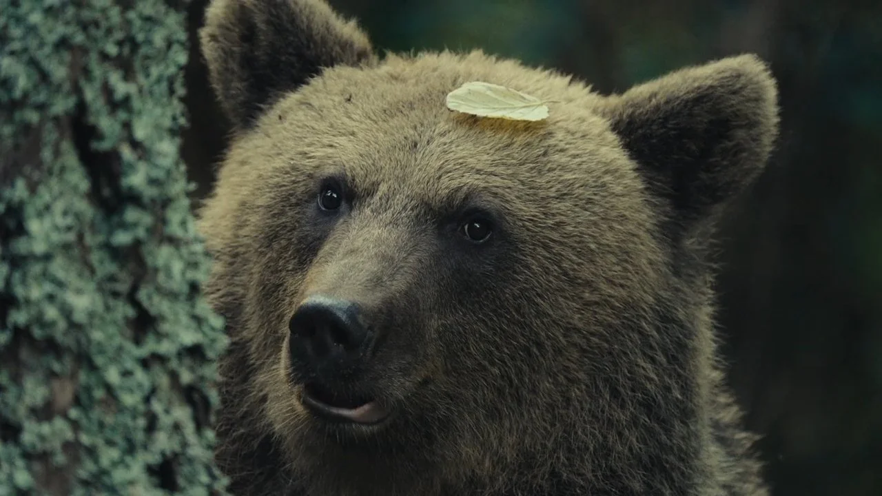 Spirit of the Forest | Jack Wolfskin - EXEC PRODUCER