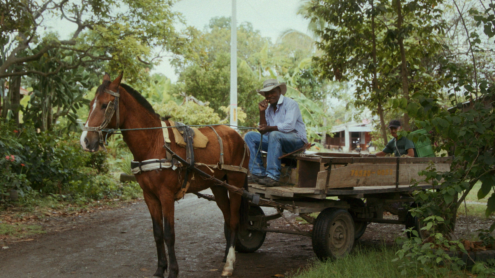 Rise | The Art of Resilience - PRODUCER