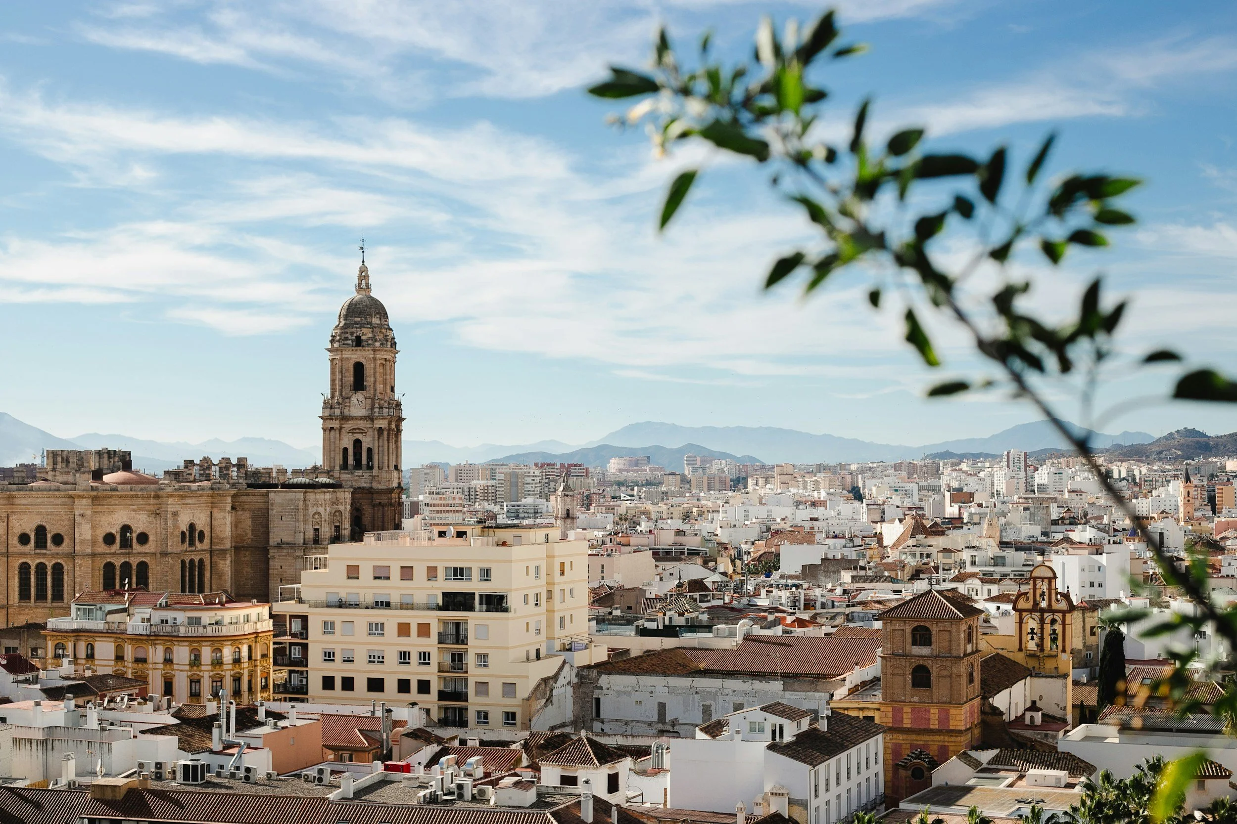 City skyline with historic church tower, modern buildings, mountains in the background, partly cloudy sky, foreground of blurred green leaves.