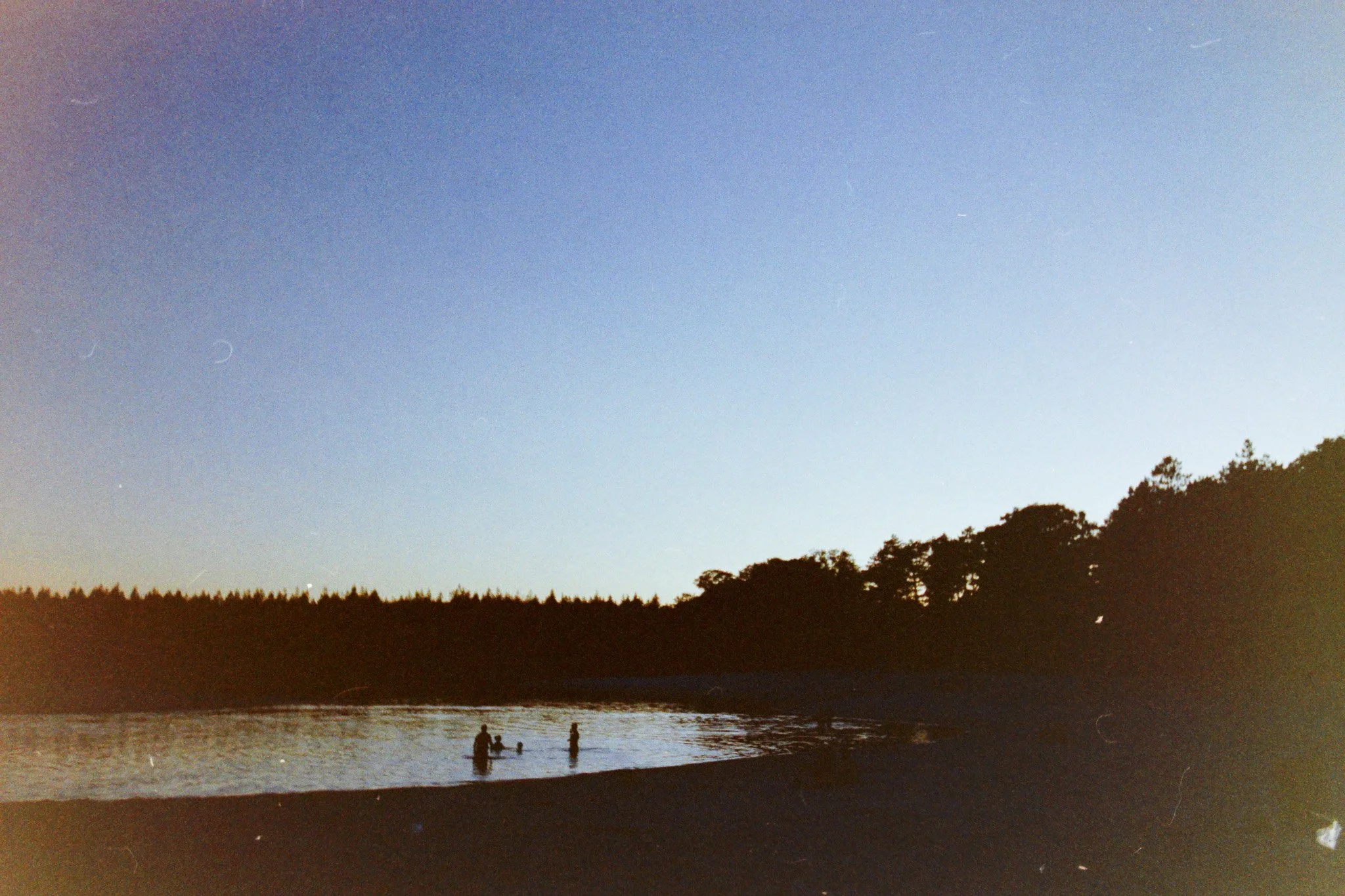 Silhouettes of people wading in the water at a beach during sunset with a clear sky and a line of trees in the background.
