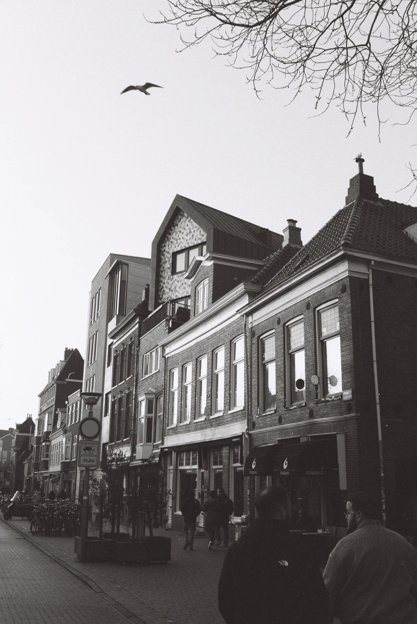 Black and white photo of a European city street with people walking and sitting outside cafes, multi-story buildings, and a bird flying in the sky.