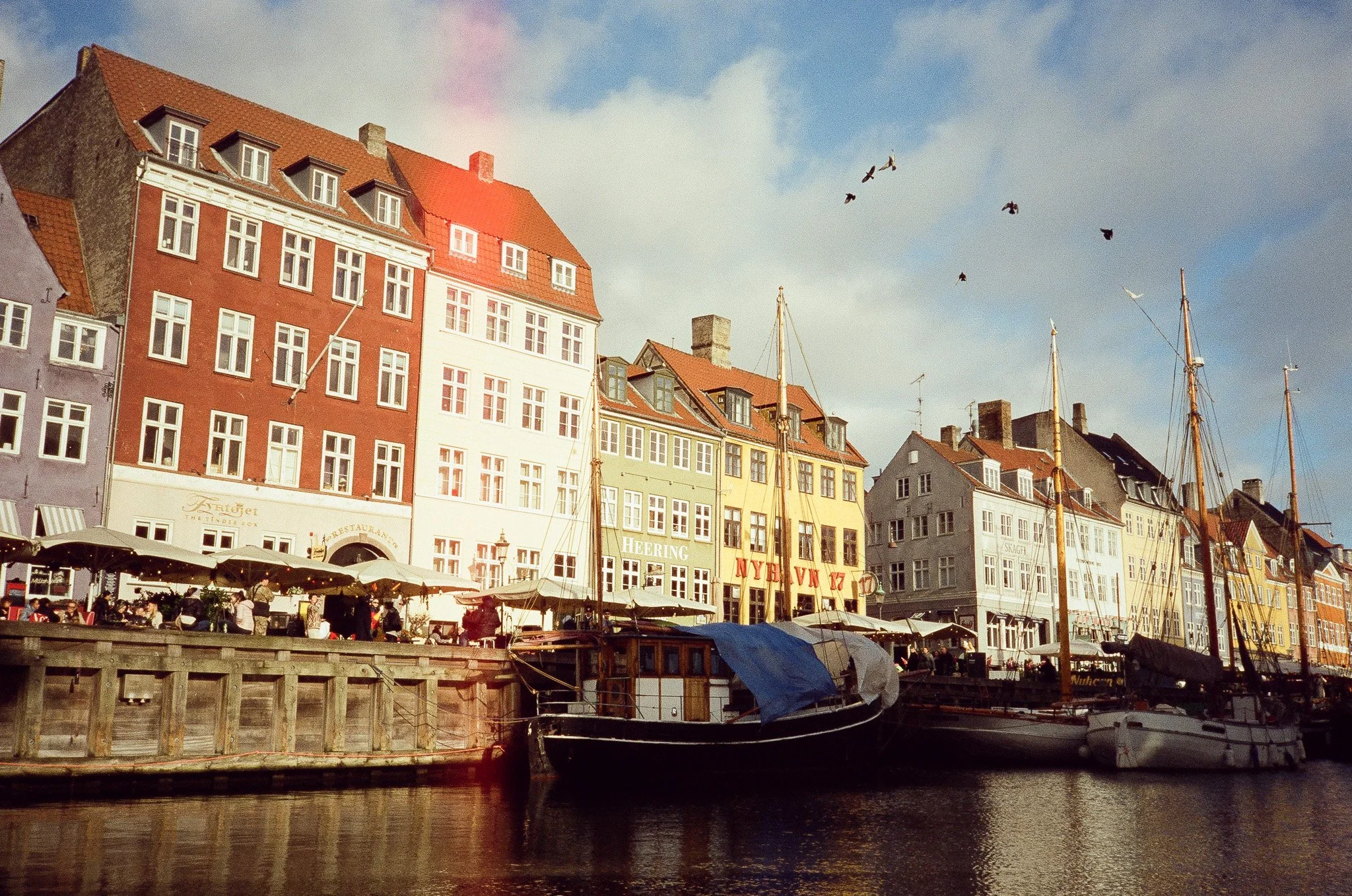 Colorful buildings along a harbor with boats docked in the water and birds flying overhead.