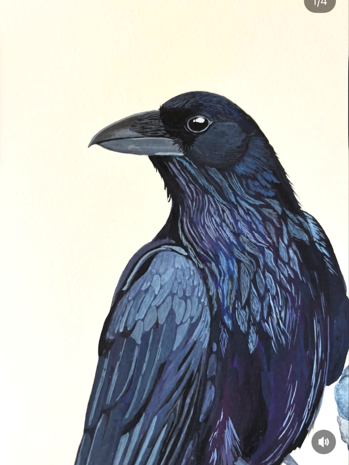 A meticulously hand painted crow in shades of black, purple and blue. A close up of its face and feathers shows off lots of detail.
